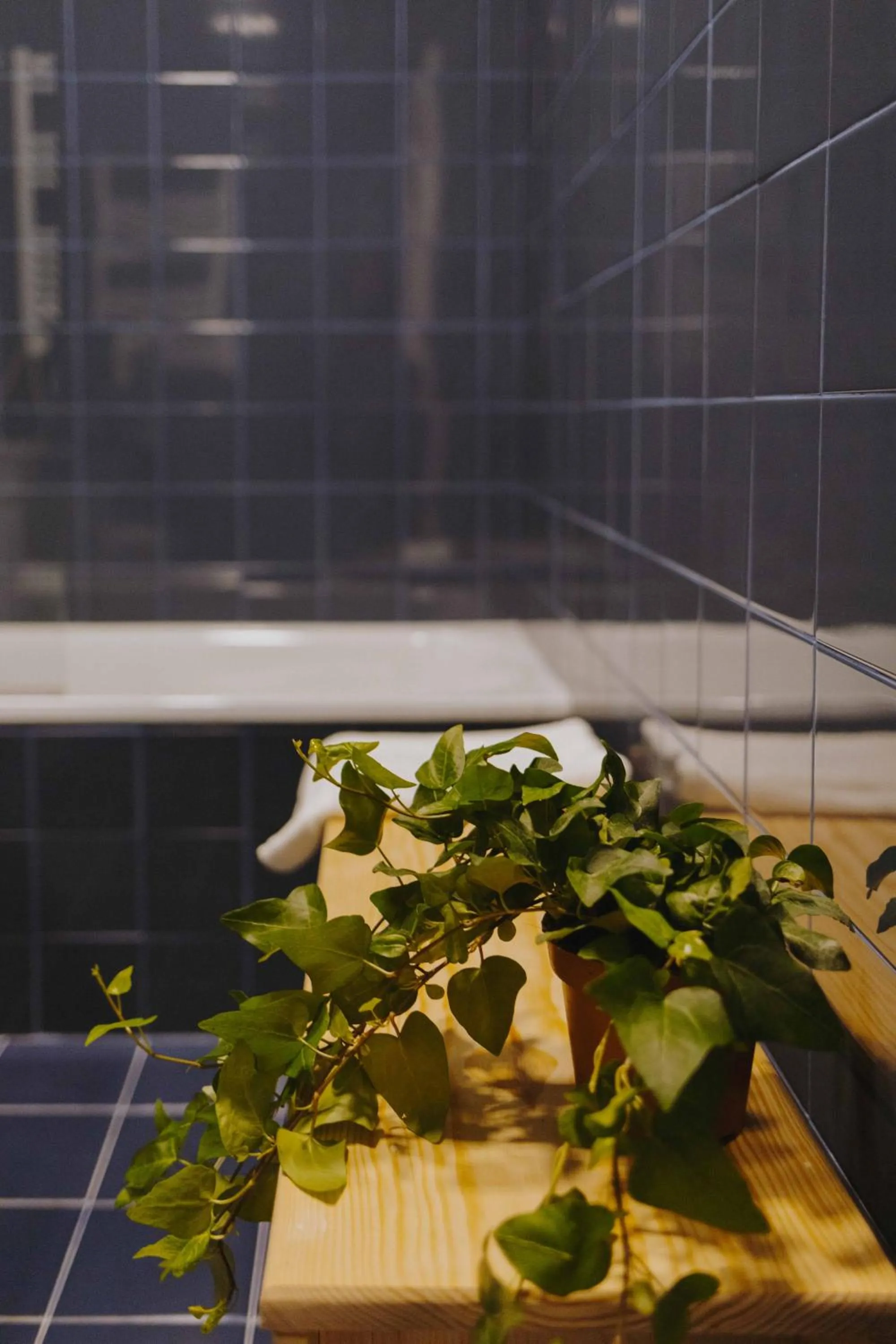 aDuquesa - GuestHouse