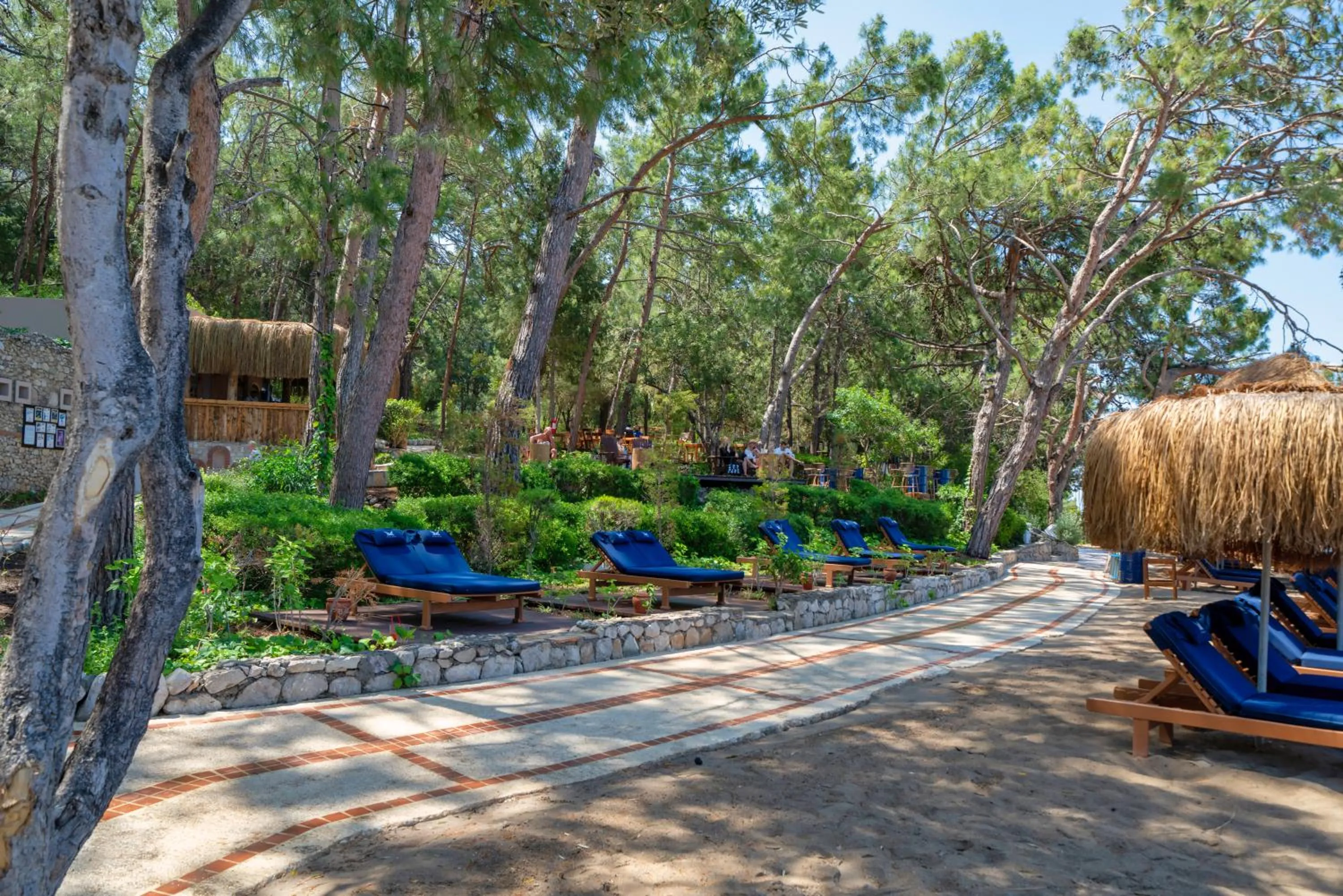 Natural landscape in Liberty Lykia Adults Only