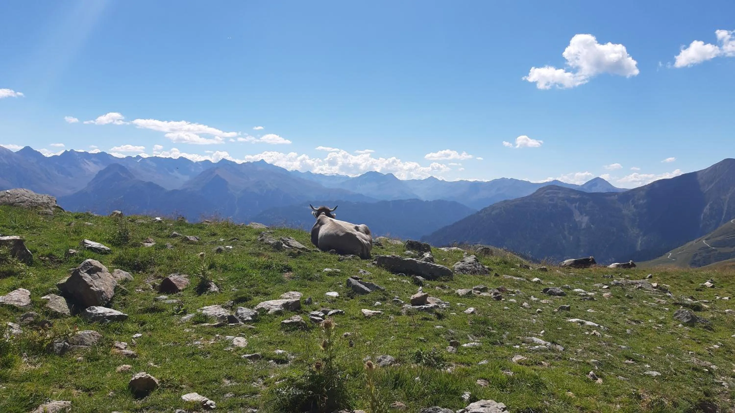 Natural landscape in Lärchenhof Serfaus