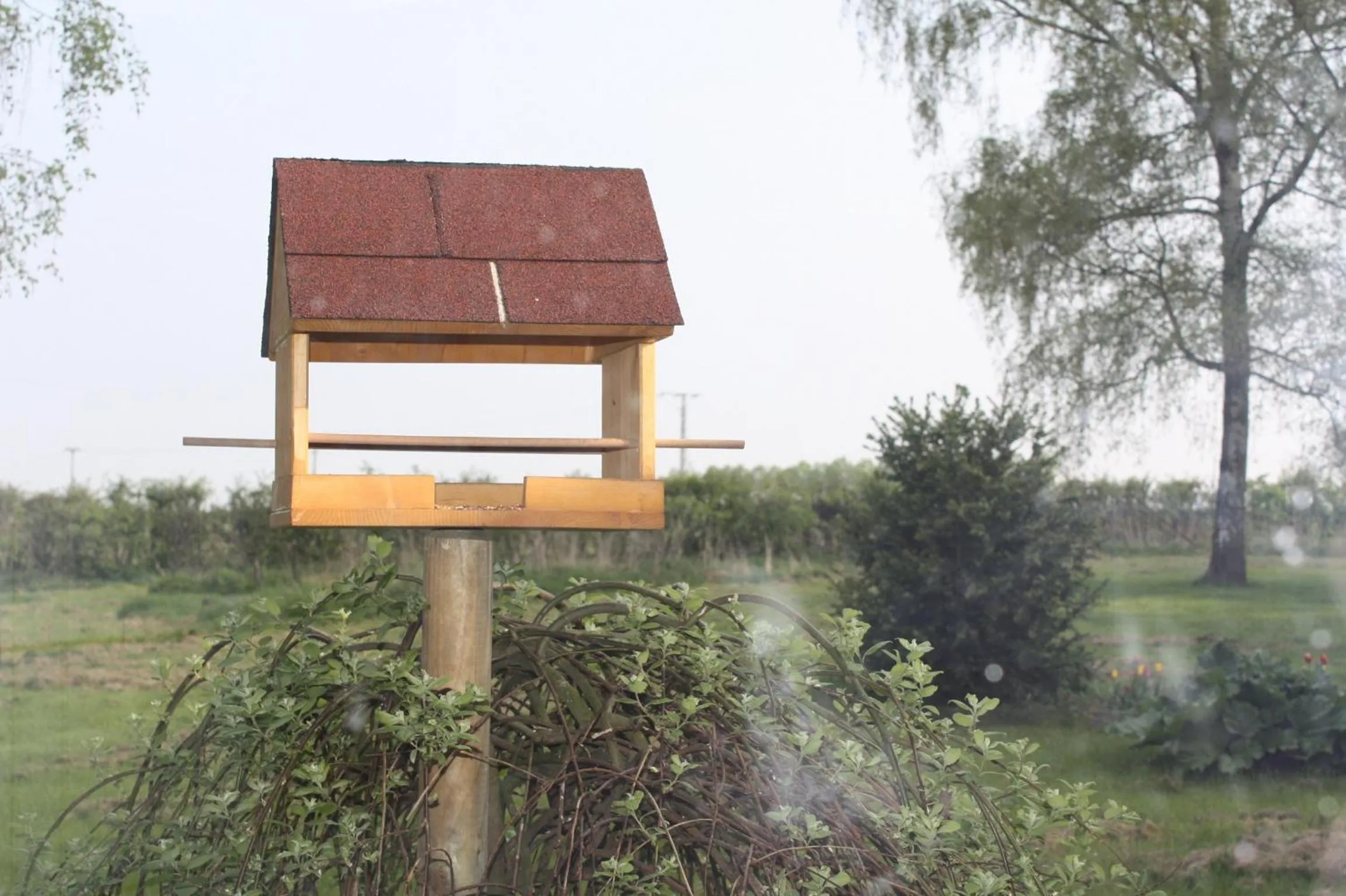 Garden in Hotel am Siebenpfennigsknapp