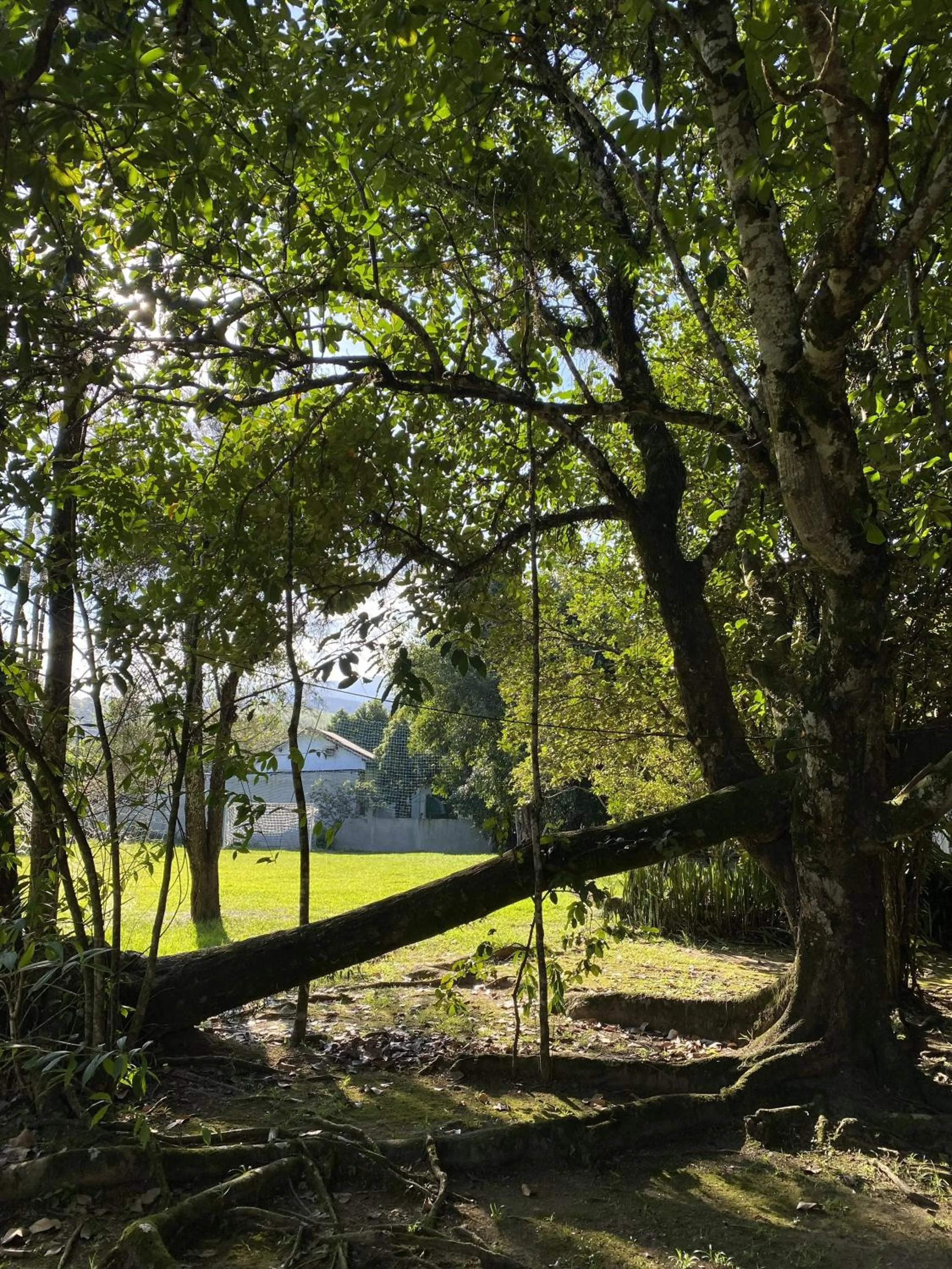 Off site in Pousada Ypê Amarelo