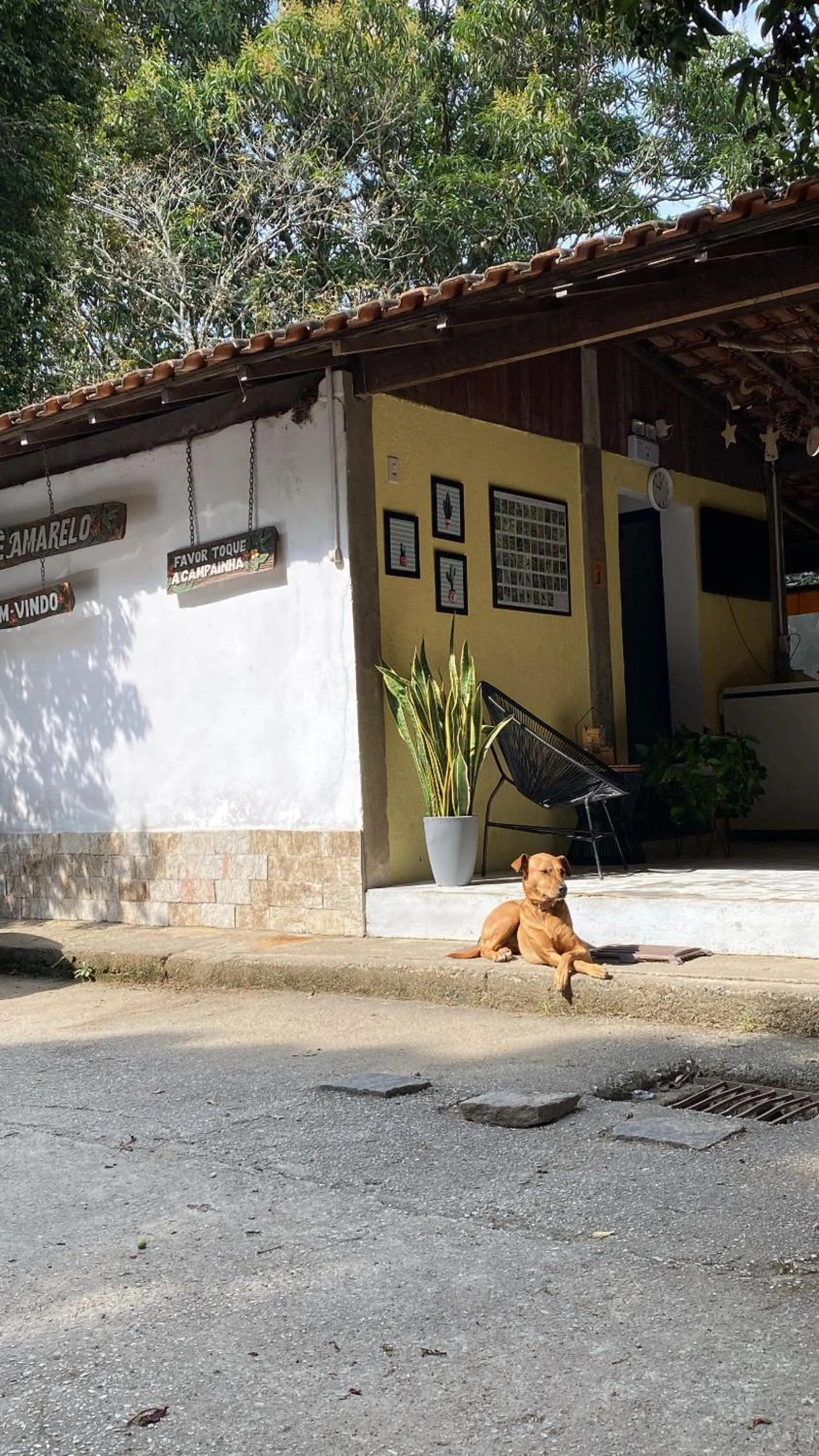 Facade/entrance in Pousada Ypê Amarelo