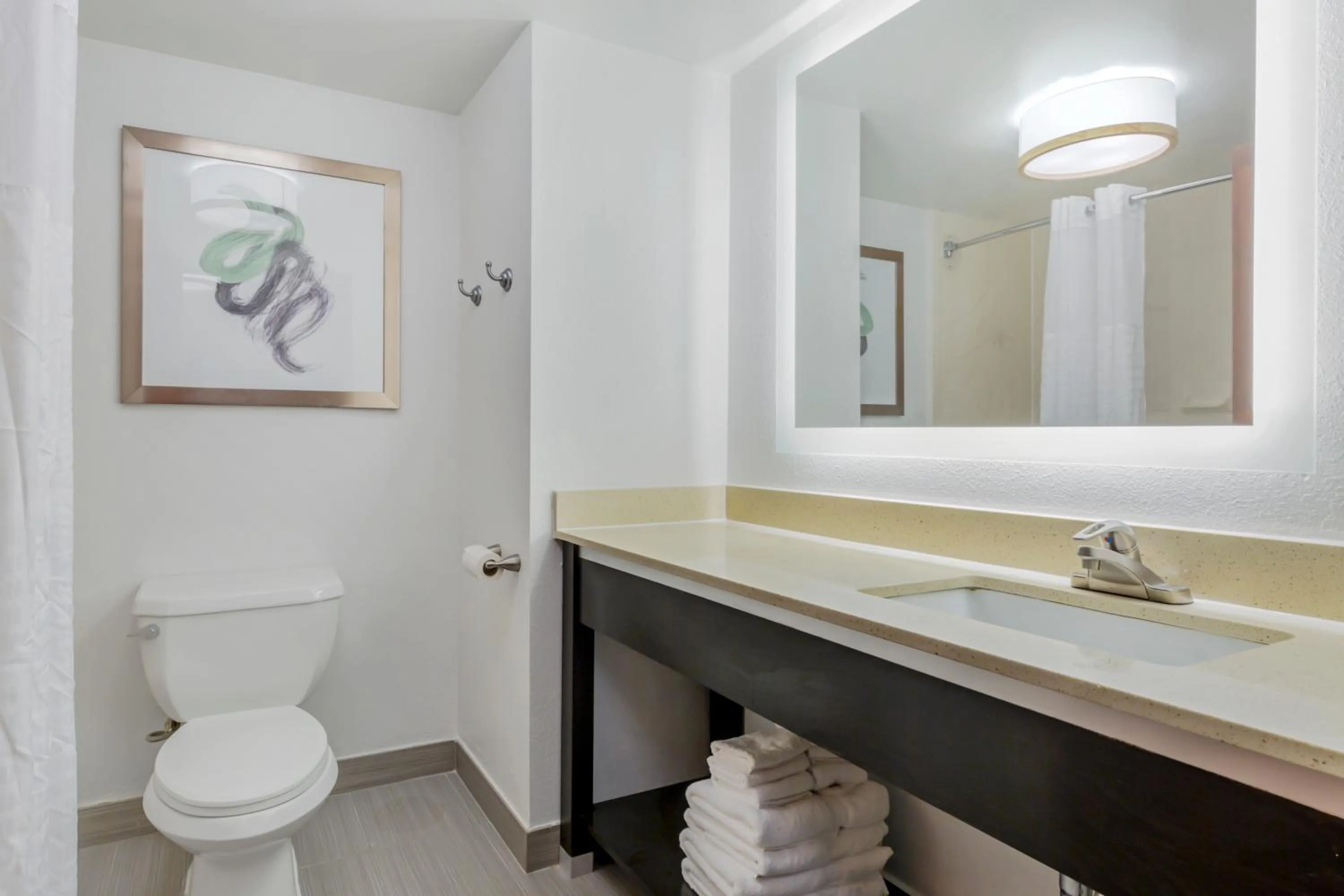 Bathroom in Comfort Inn Laurel - Fort Meade