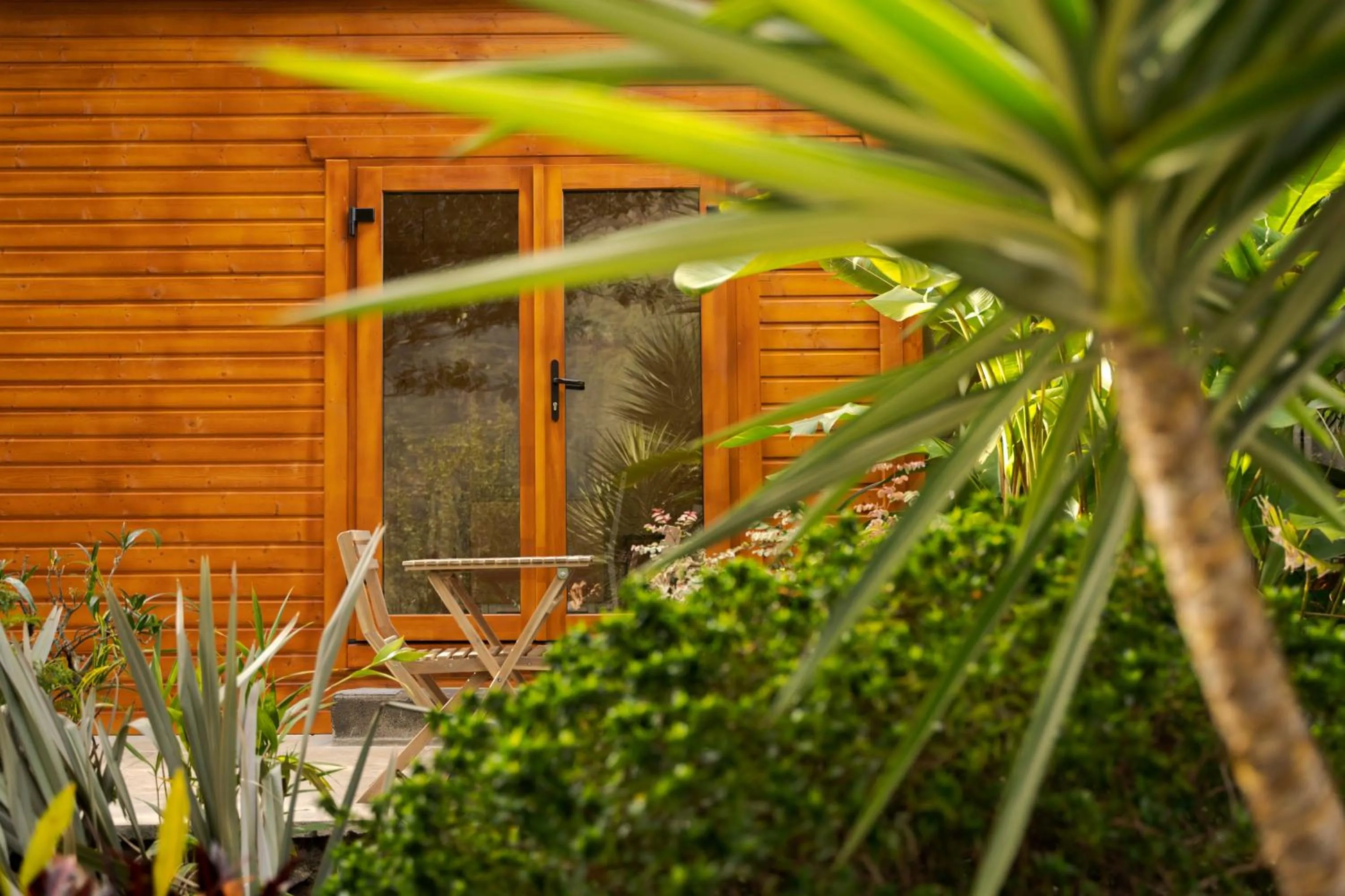 Day in Madeira Surf Lodge