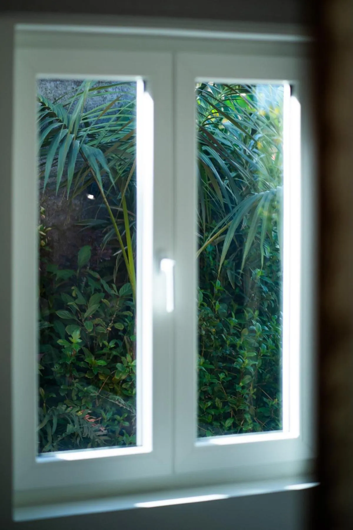 Bedroom in Madeira Surf Lodge
