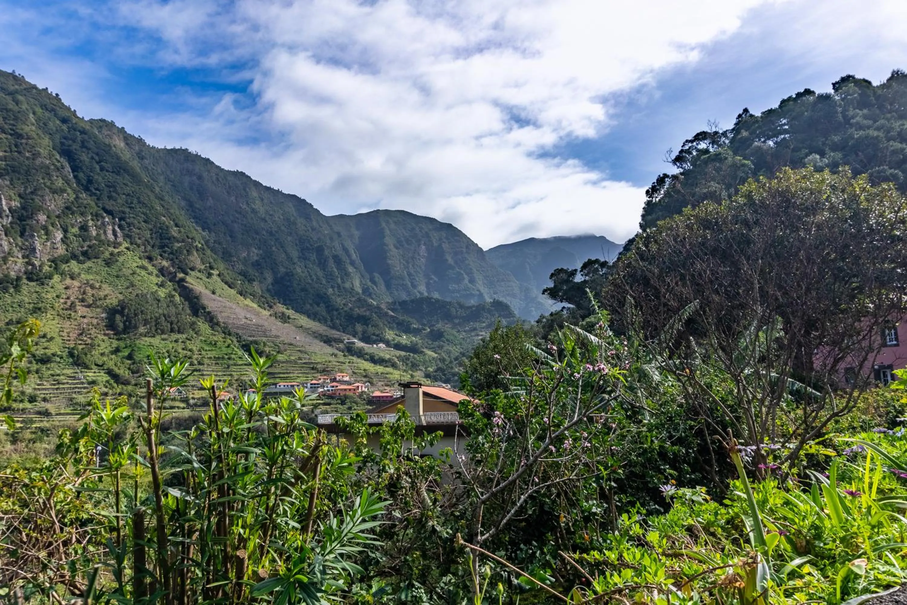 View (from property/room) in Madeira Surf Lodge