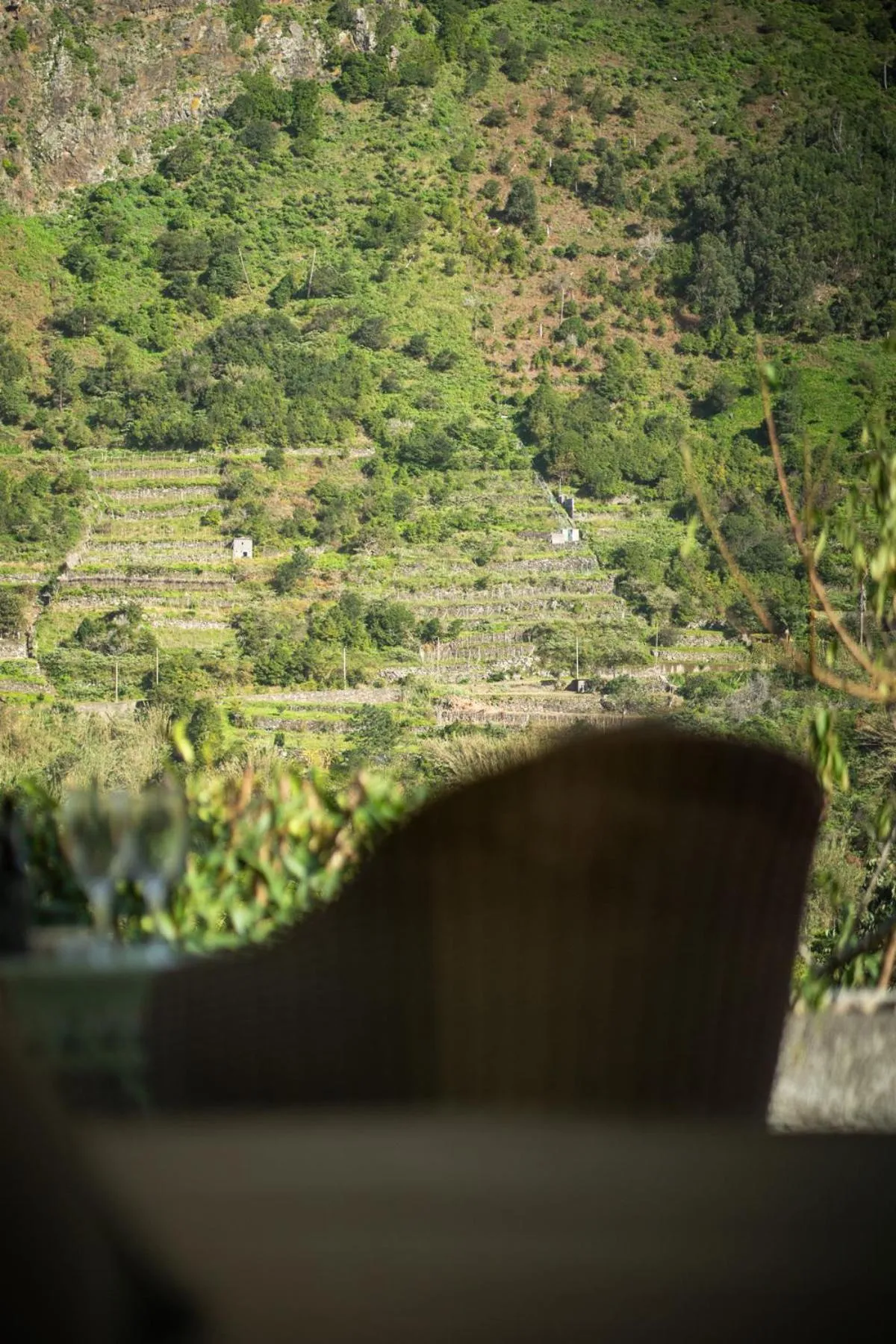 Spring in Madeira Surf Lodge