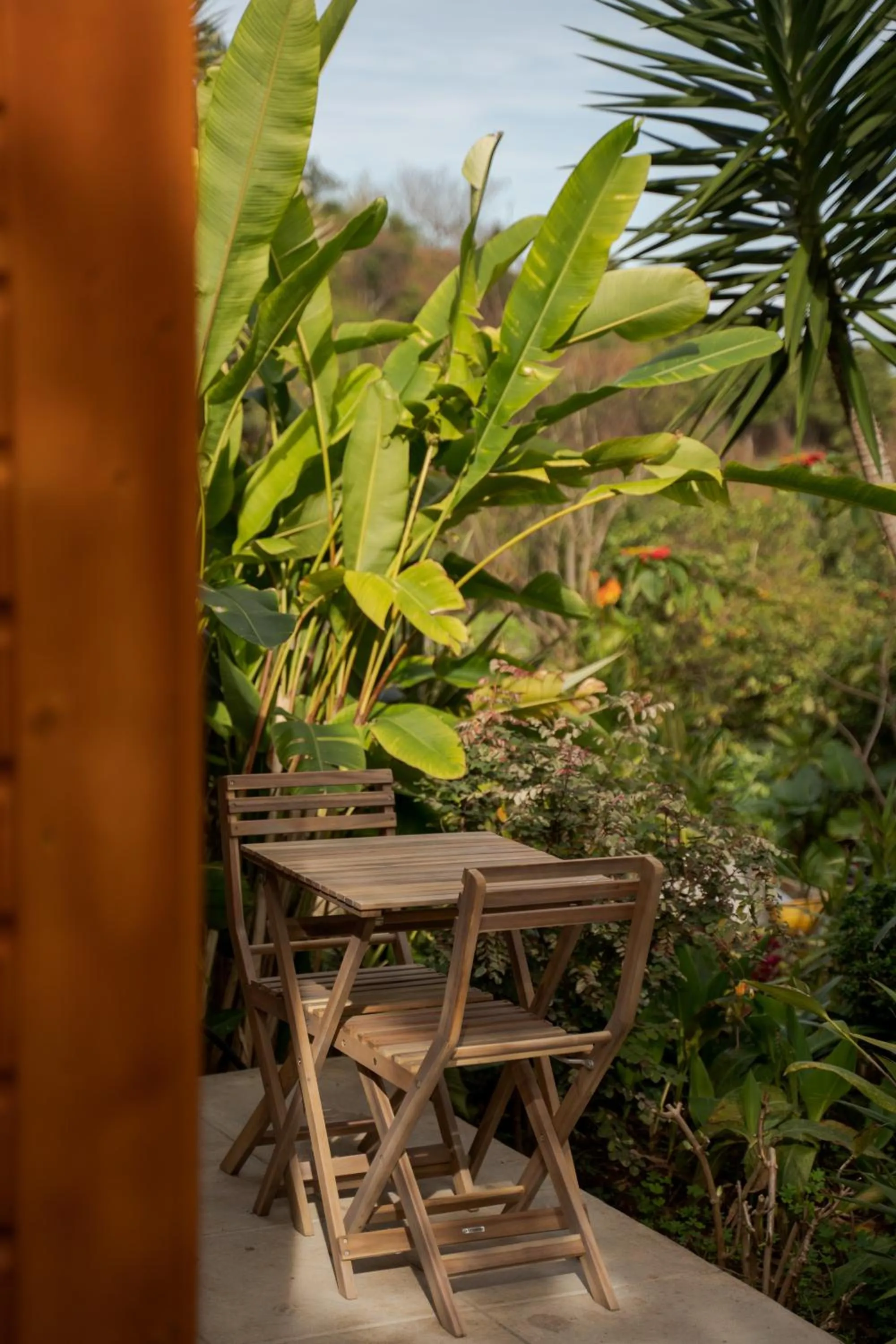 Garden in Madeira Surf Lodge