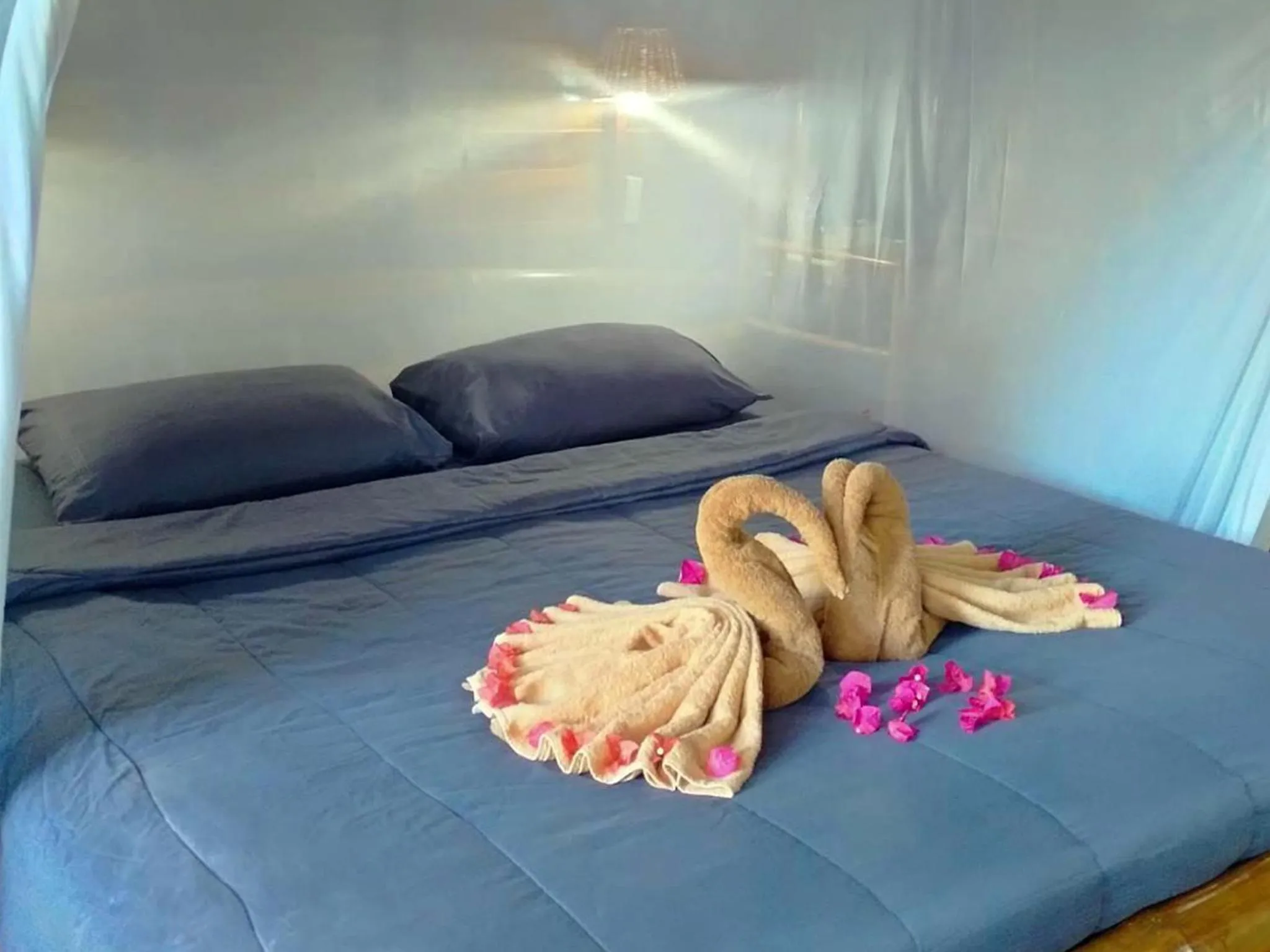 Bed in Bonhomie Beach Cottage