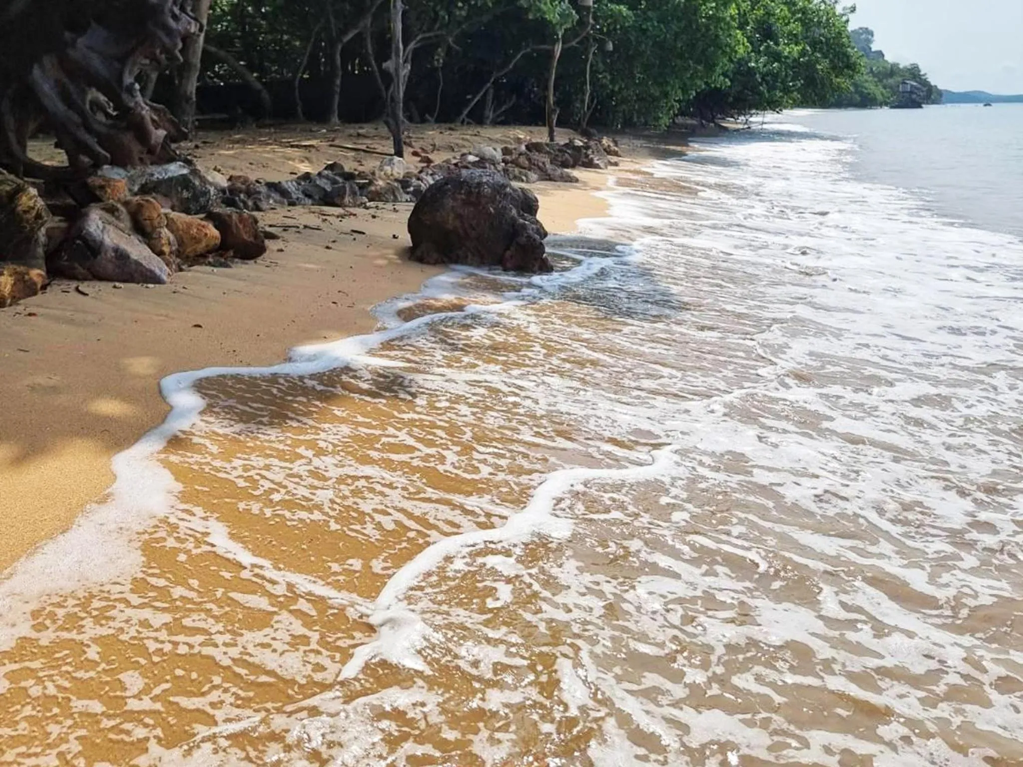Natural landscape in Bonhomie Beach Cottage
