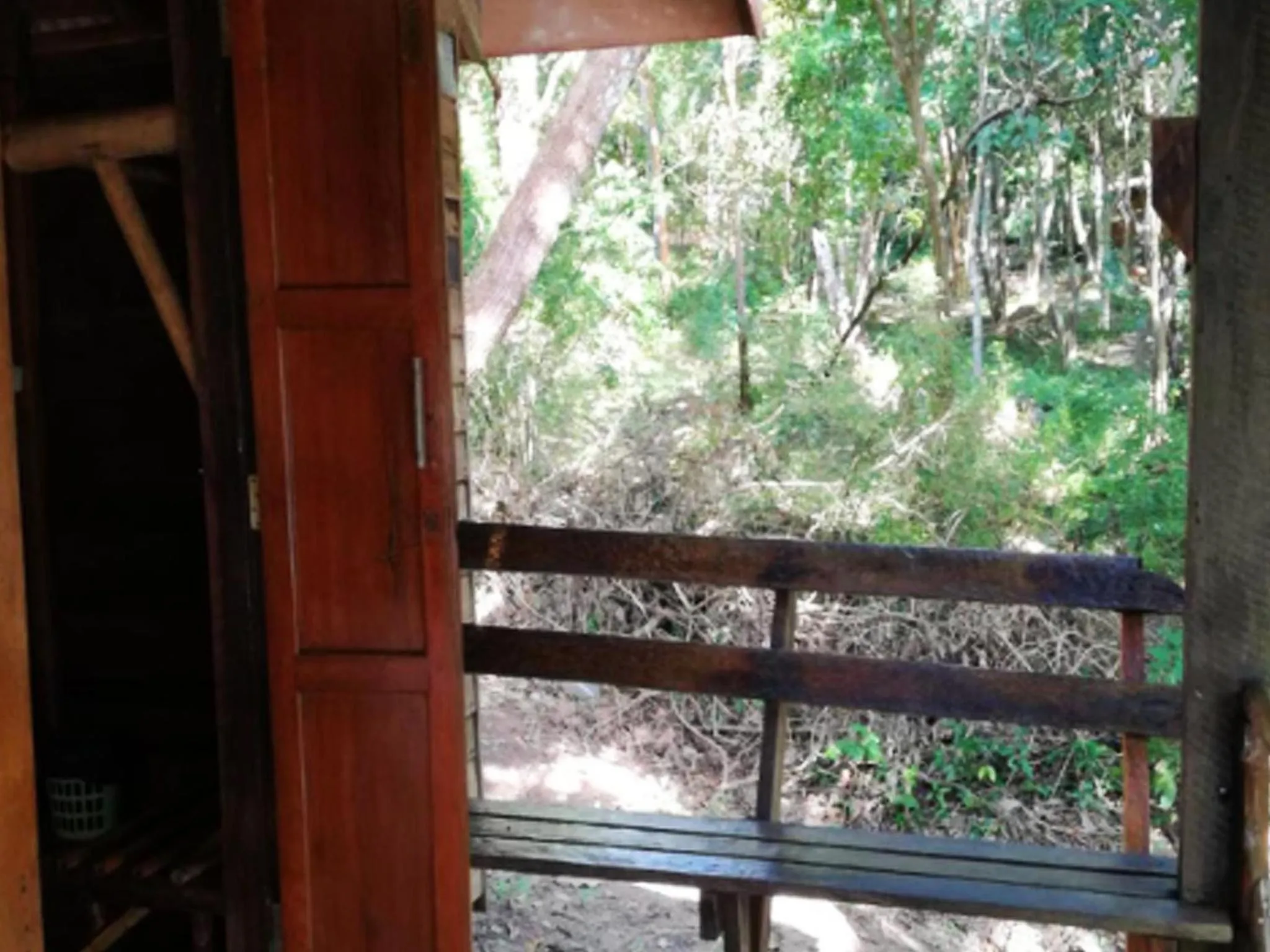 Natural landscape in Bonhomie Beach Cottage