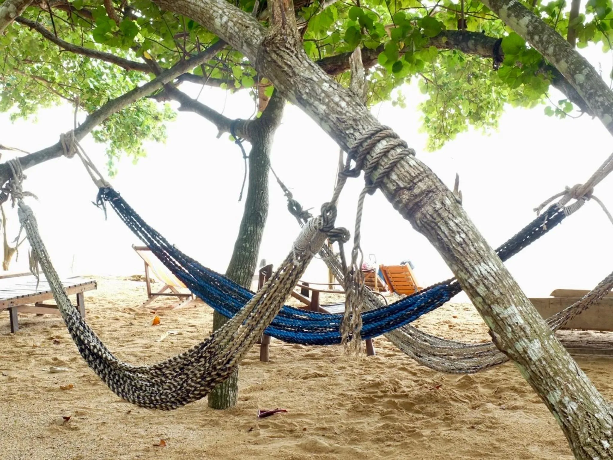 Beach in Bonhomie Beach Cottage