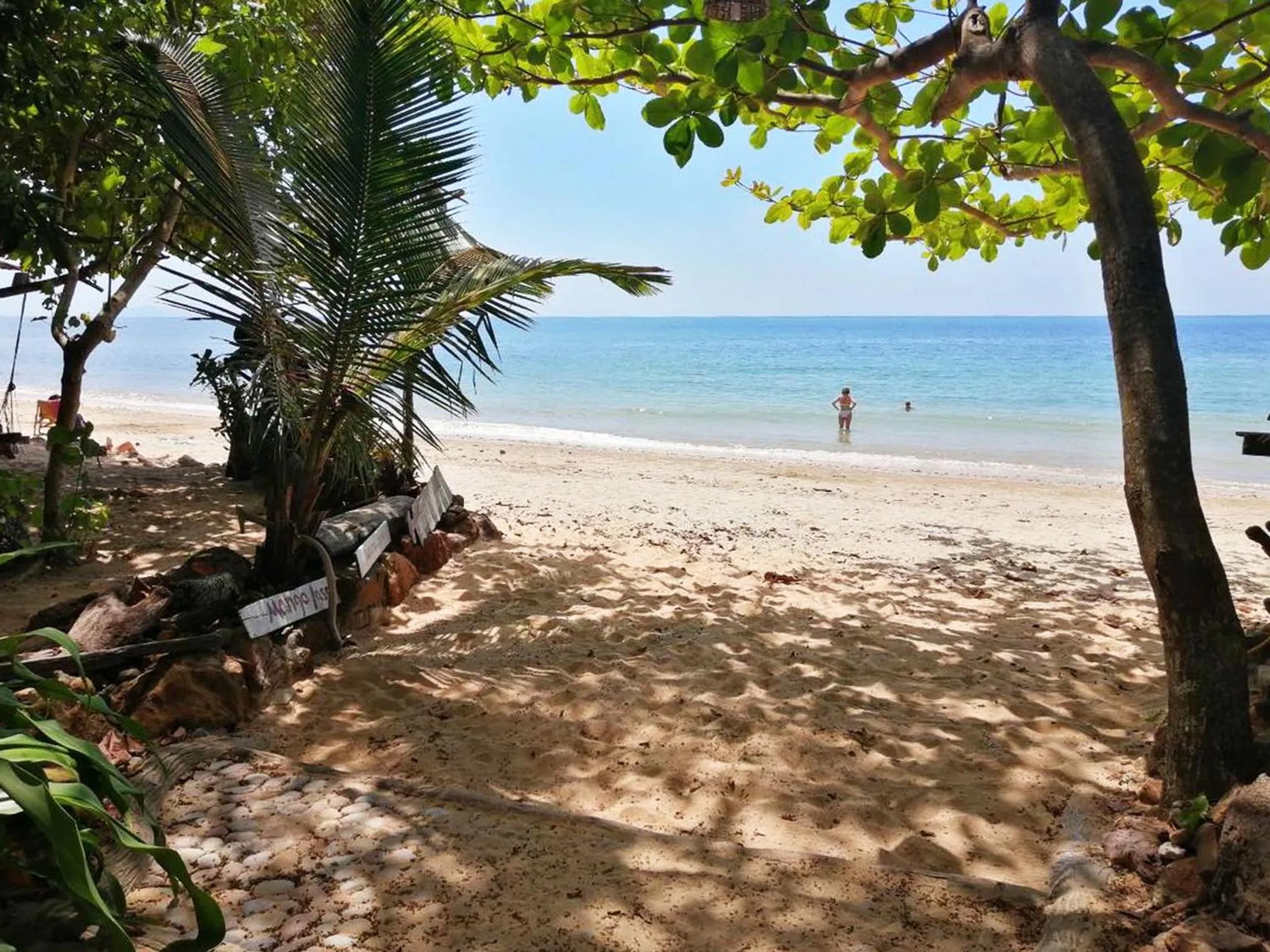 Natural landscape in Bonhomie Beach Cottage