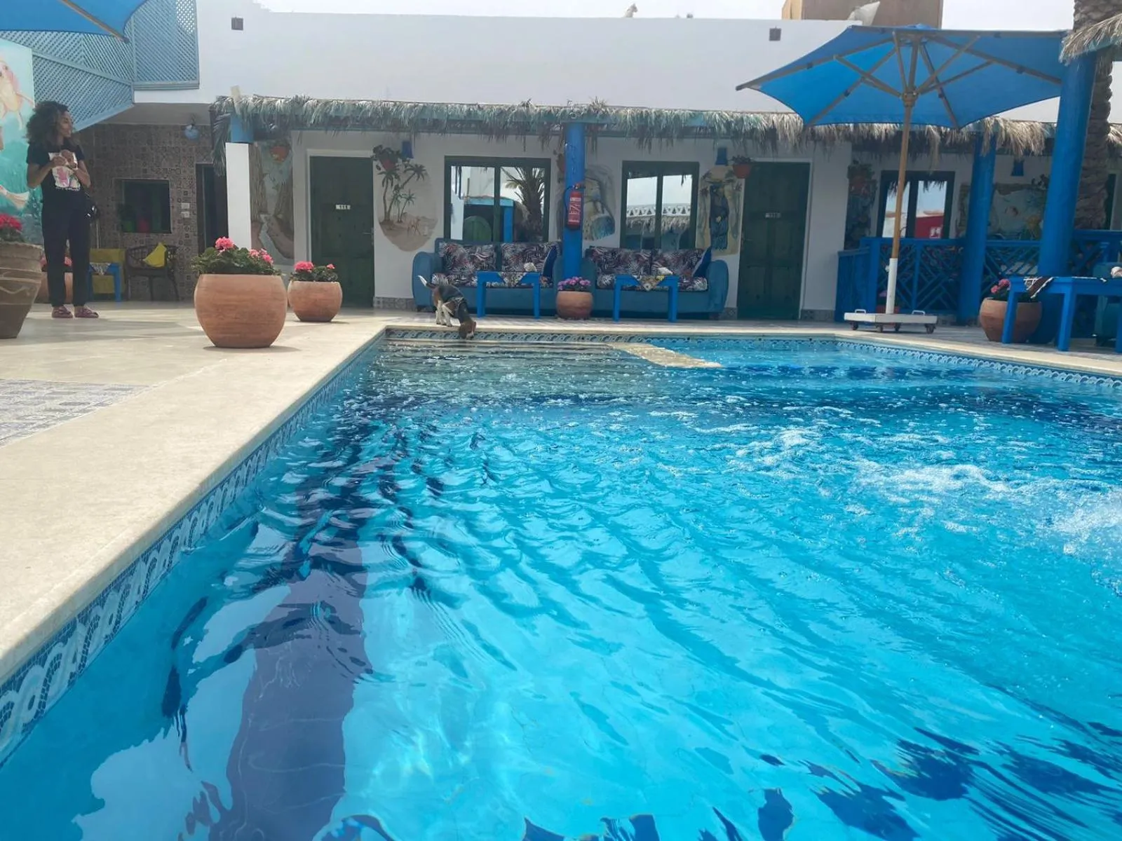 Swimming pool in Chillax Dahab