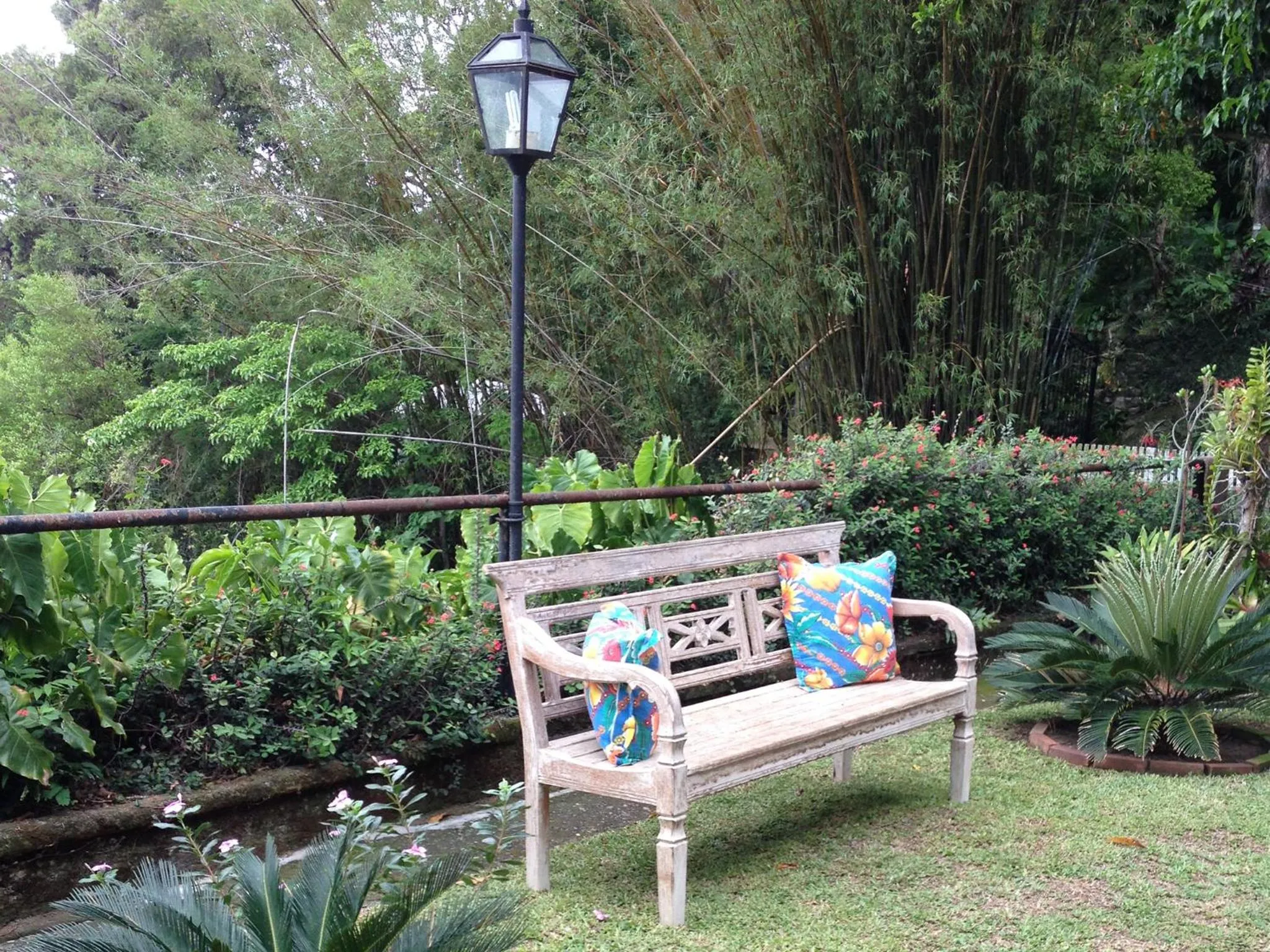 Garden in Casa Caminho do Corcovado - Pet friendly