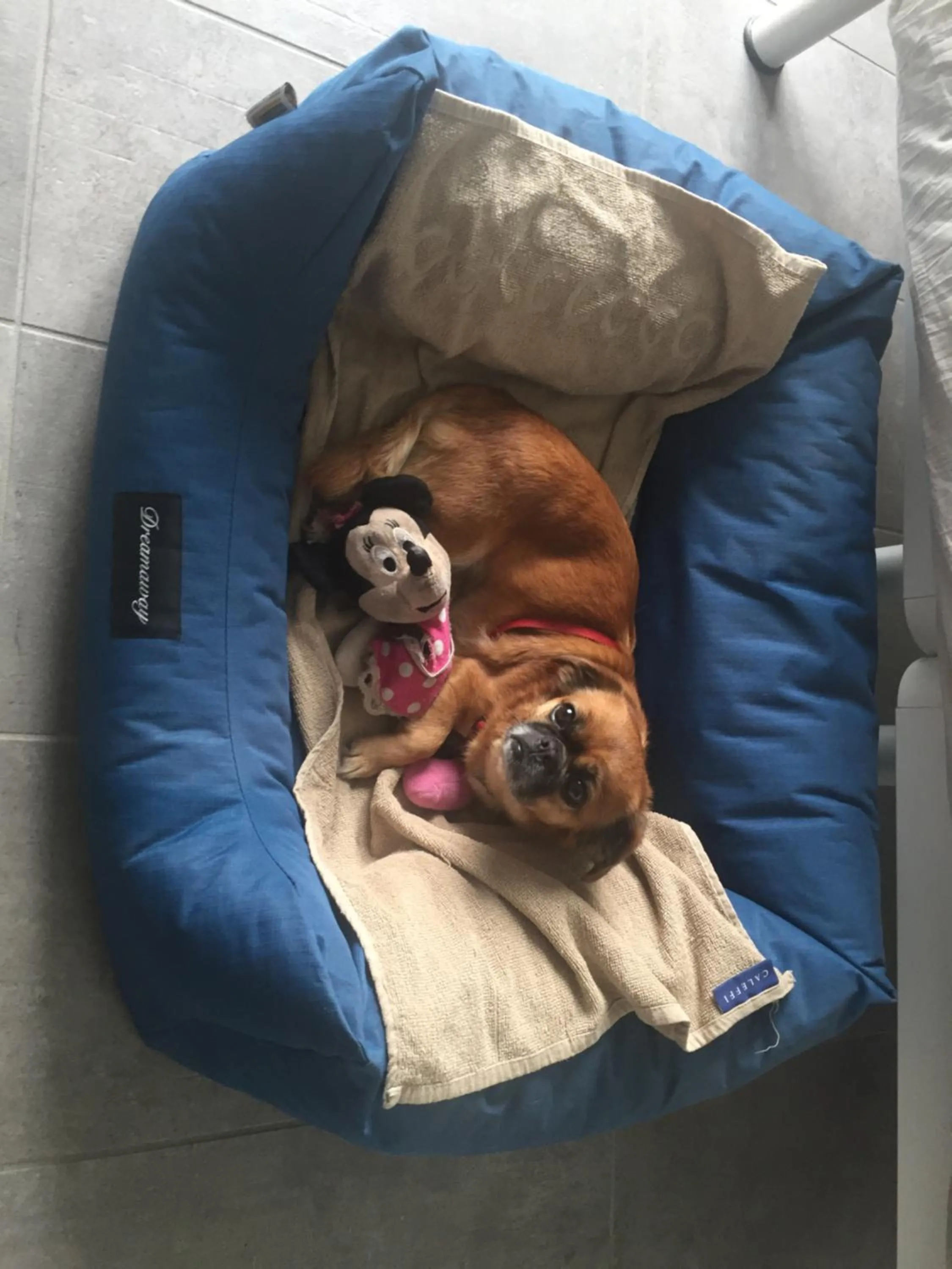 Aqua&Co Bellagio - Eco conscious stay