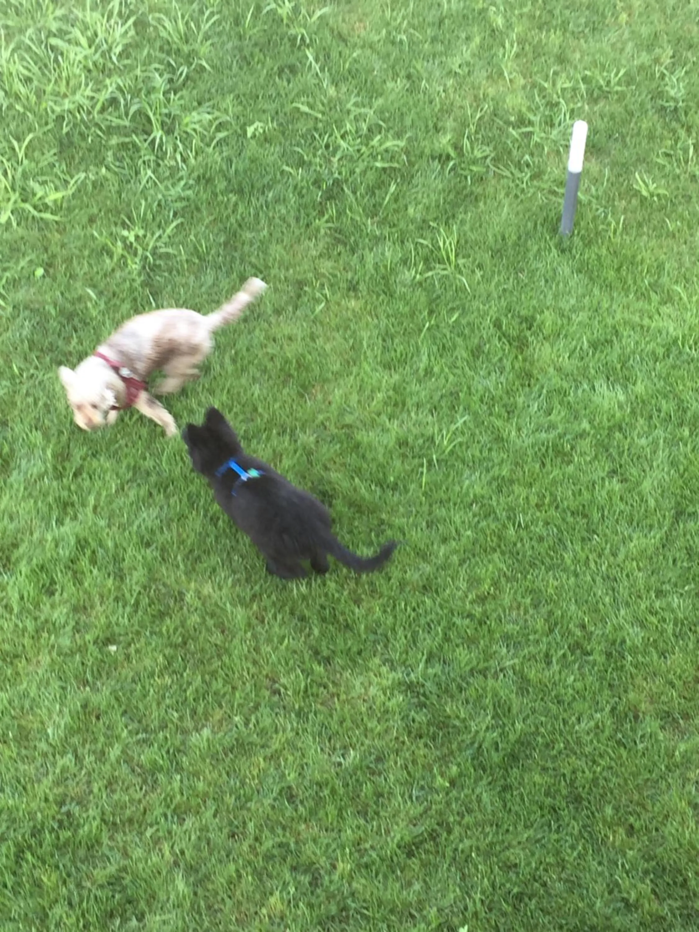 Aqua&Co Bellagio - Eco conscious stay