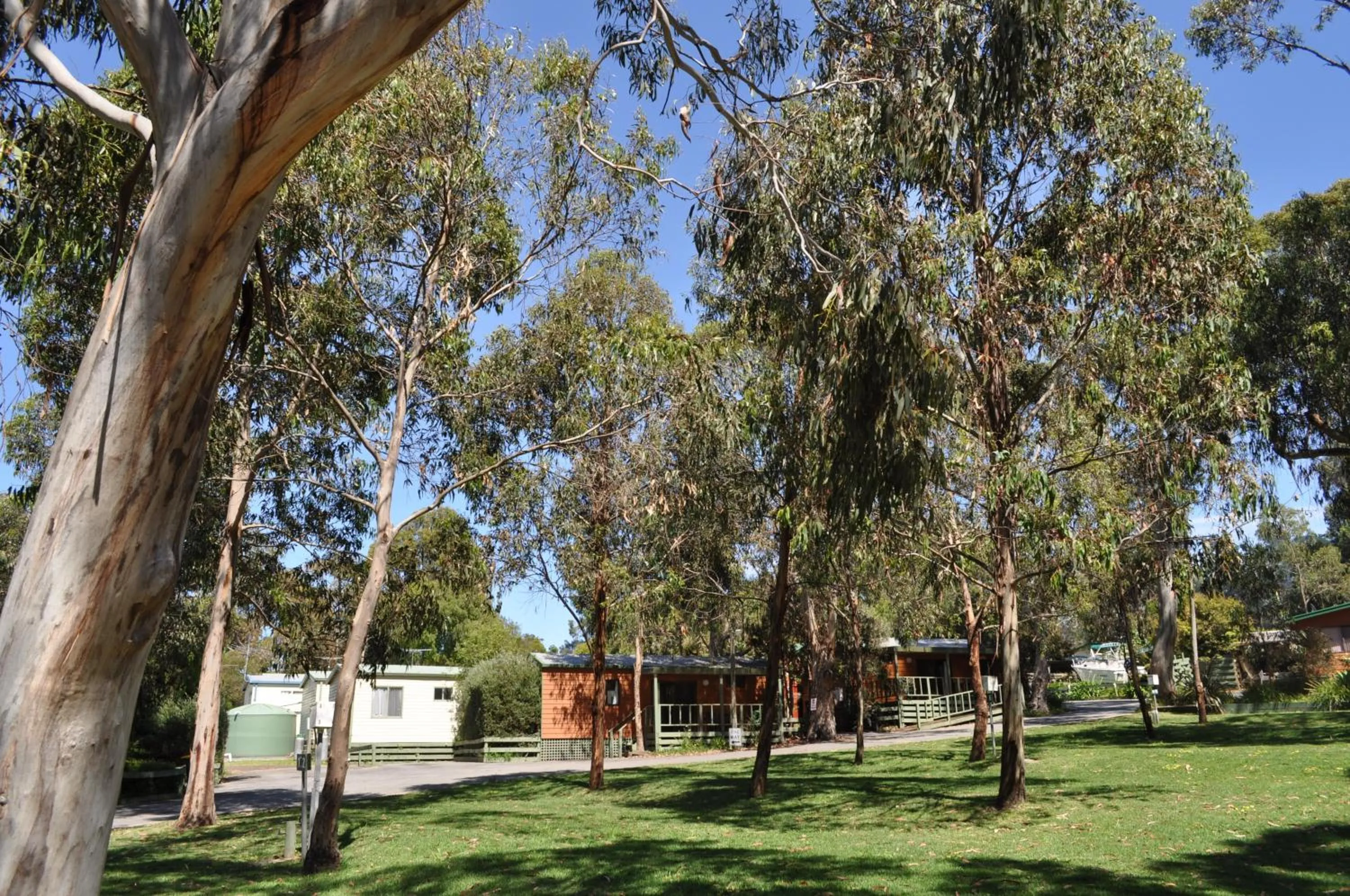 Area and facilities in Phillip Island Park Lane Holiday Park