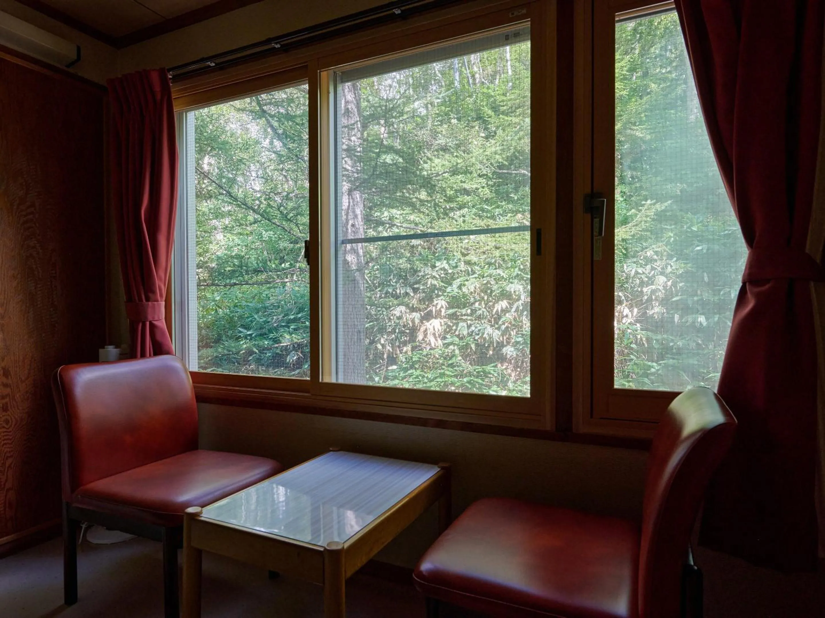 Photo of the whole room in Ishinoyu Lodge