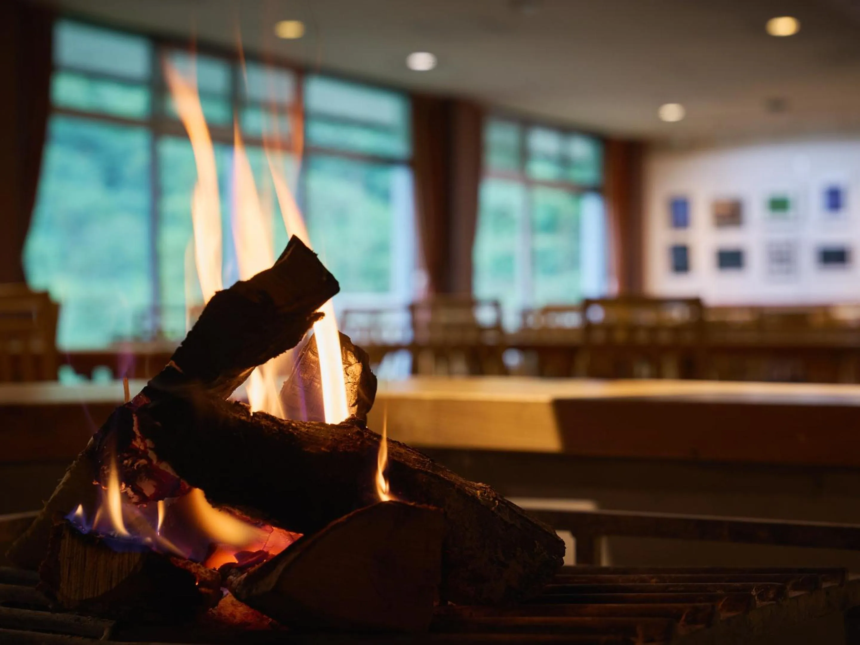 Restaurant/places to eat in Ishinoyu Lodge