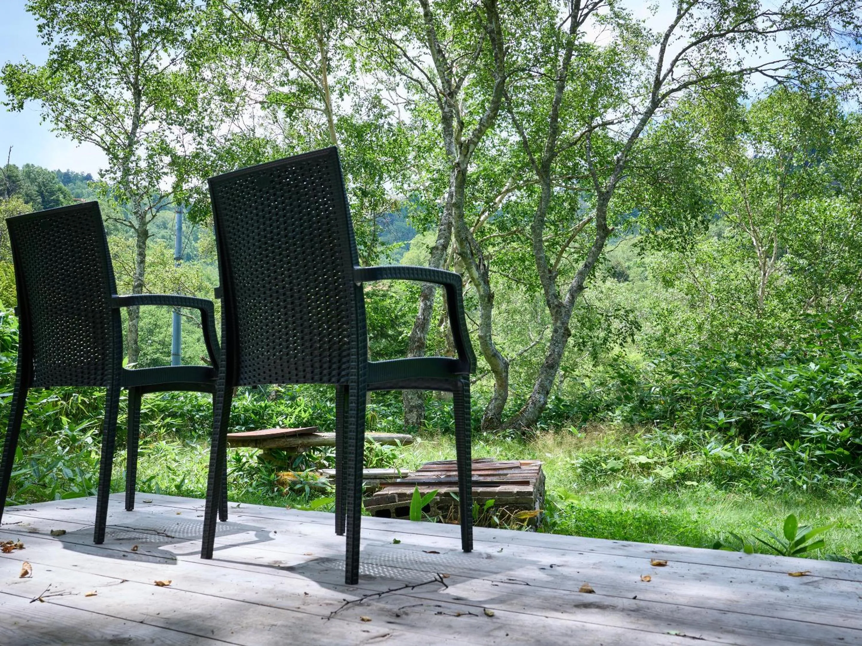 Area and facilities in Ishinoyu Lodge