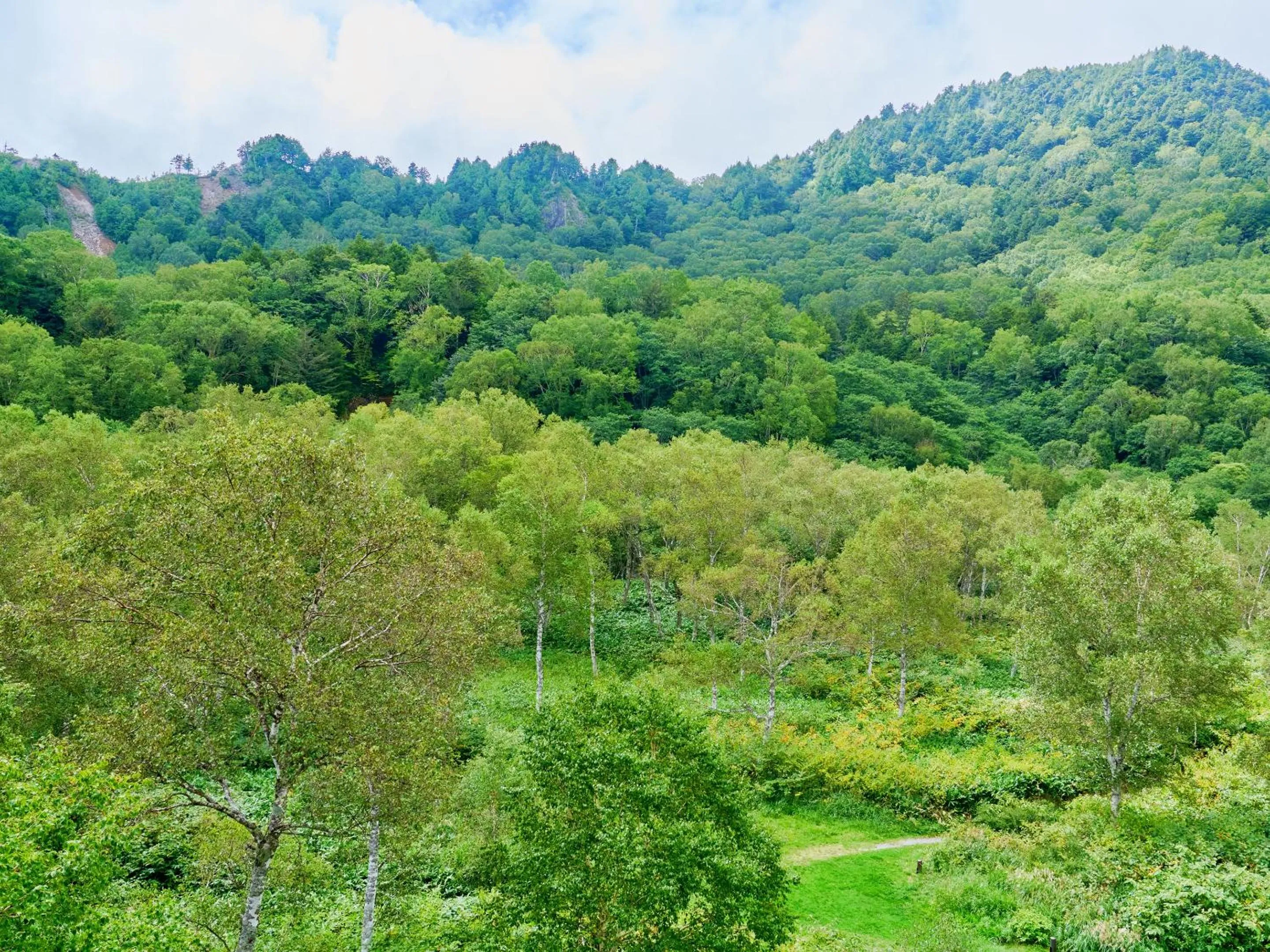 View (from property/room) in Ishinoyu Lodge