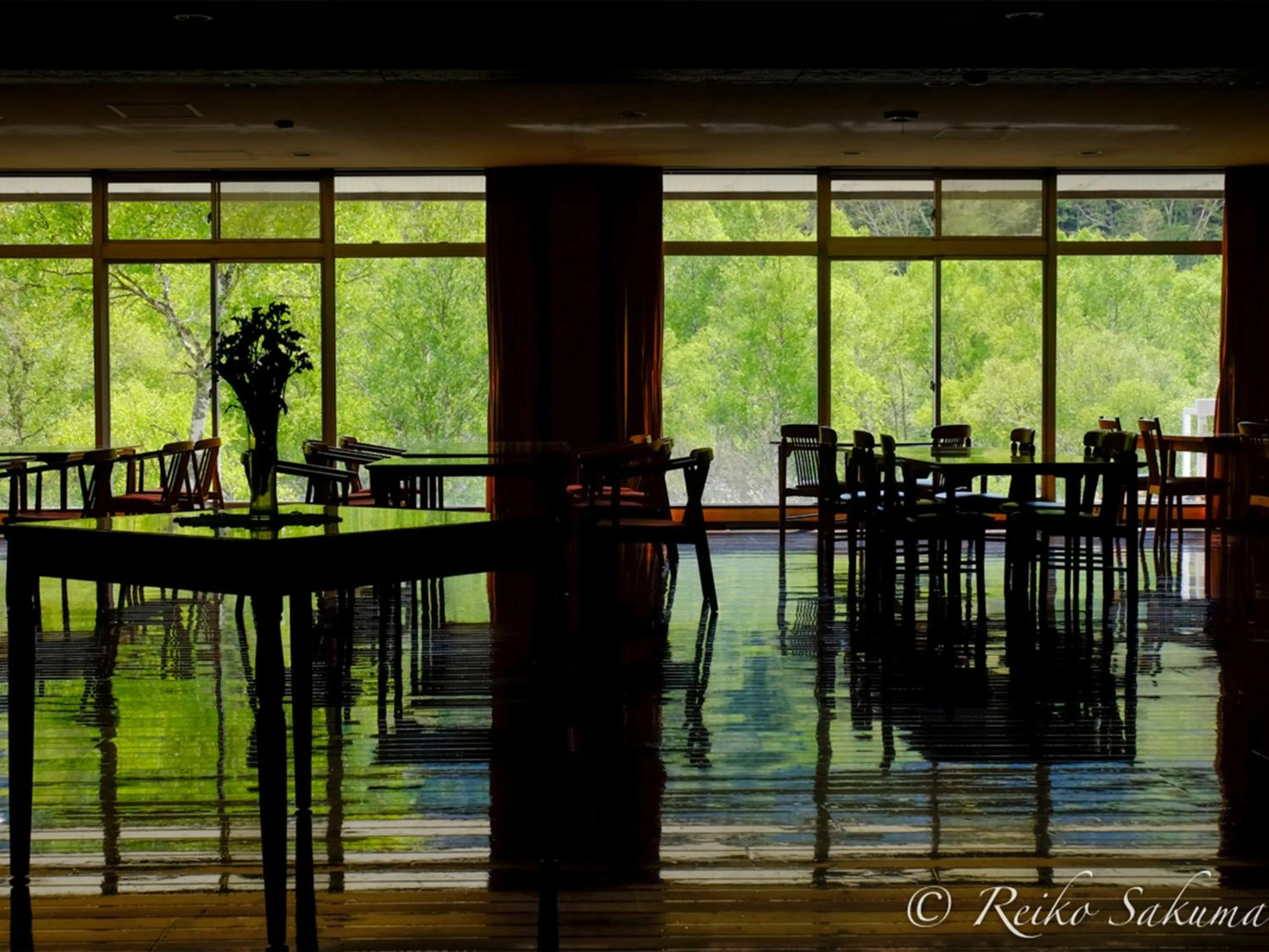 Restaurant/places to eat in Ishinoyu Lodge