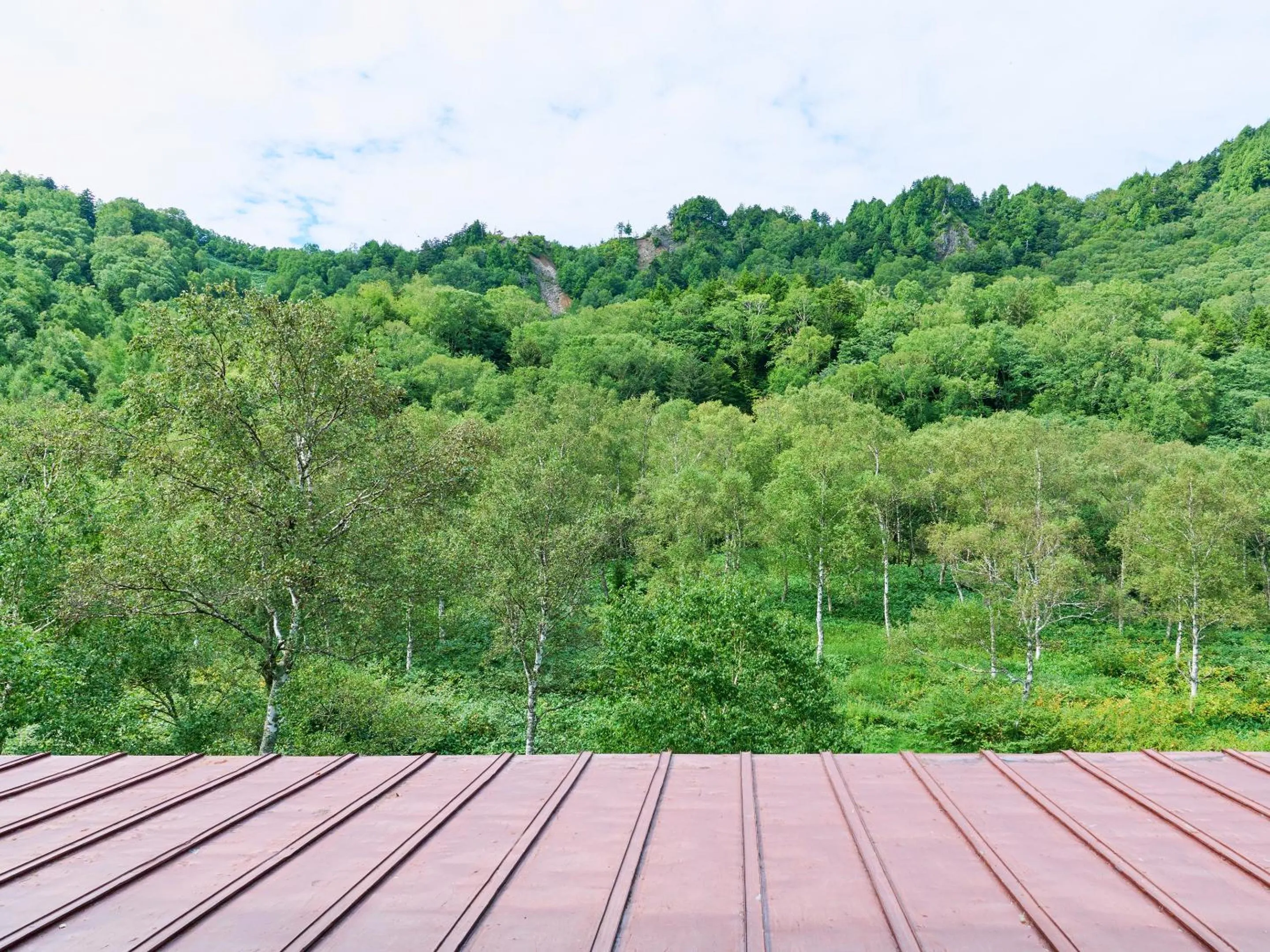 View (from property/room) in Ishinoyu Lodge