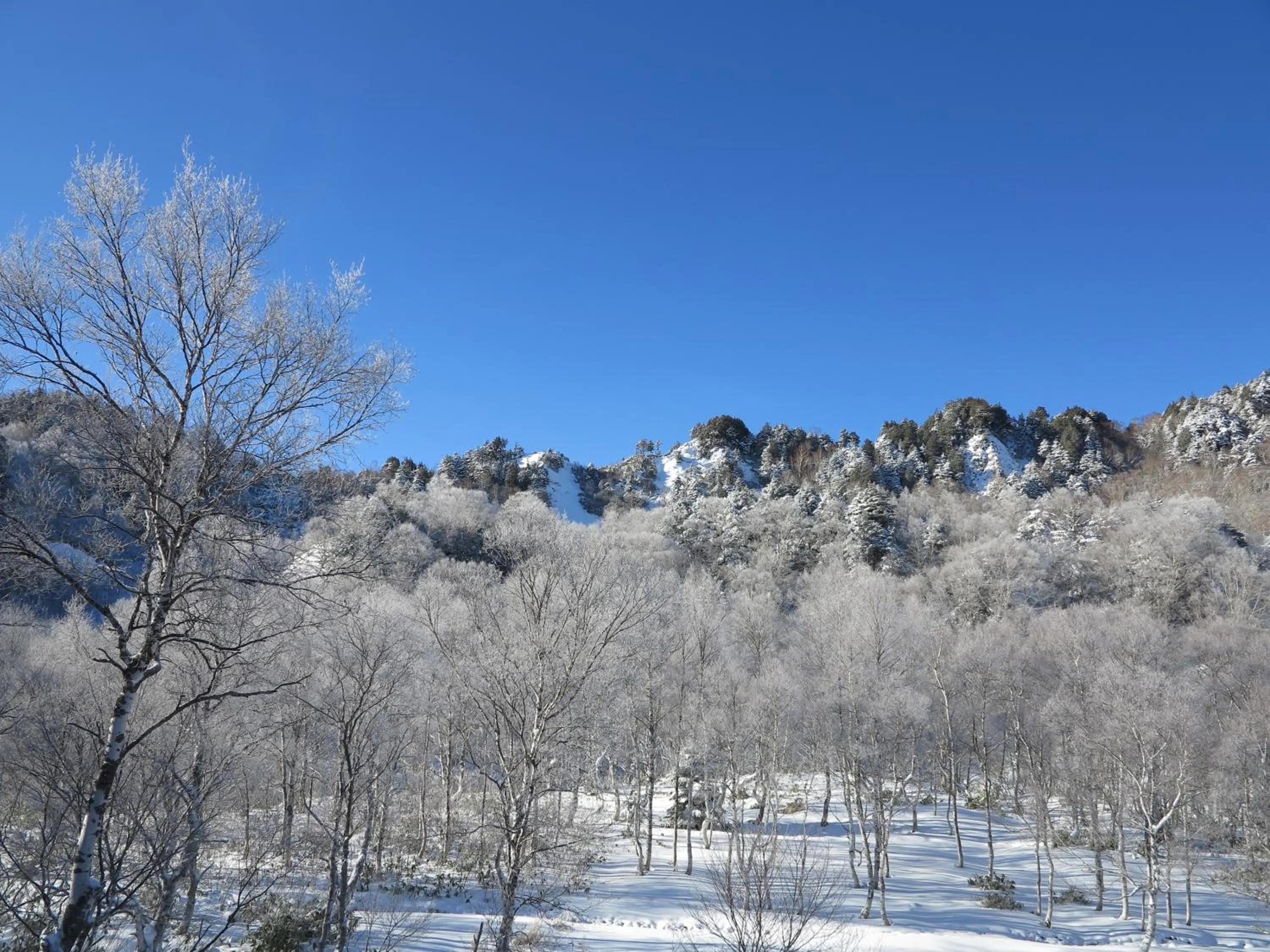 Nearby landmark in Ishinoyu Lodge