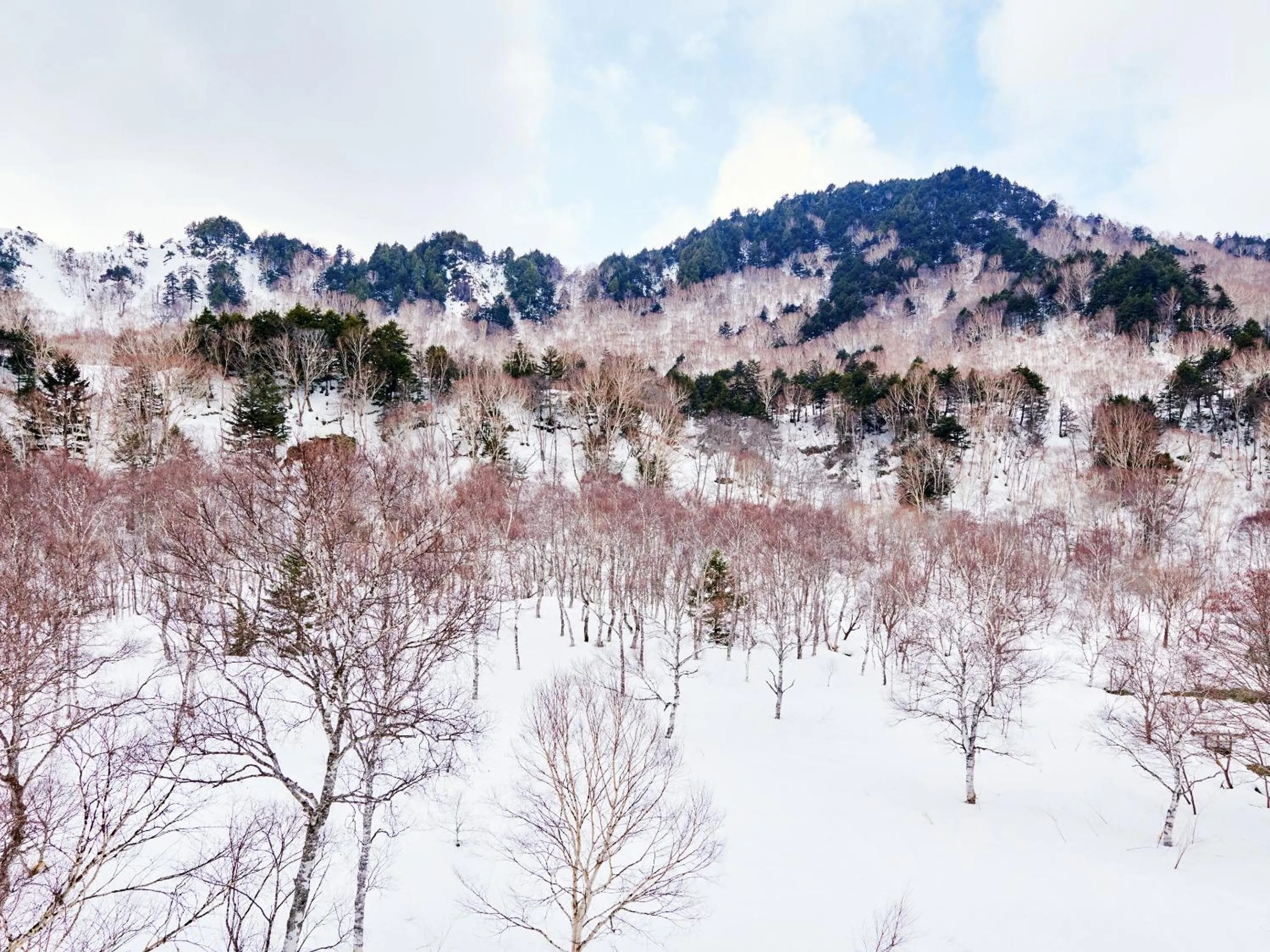 View (from property/room) in Ishinoyu Lodge