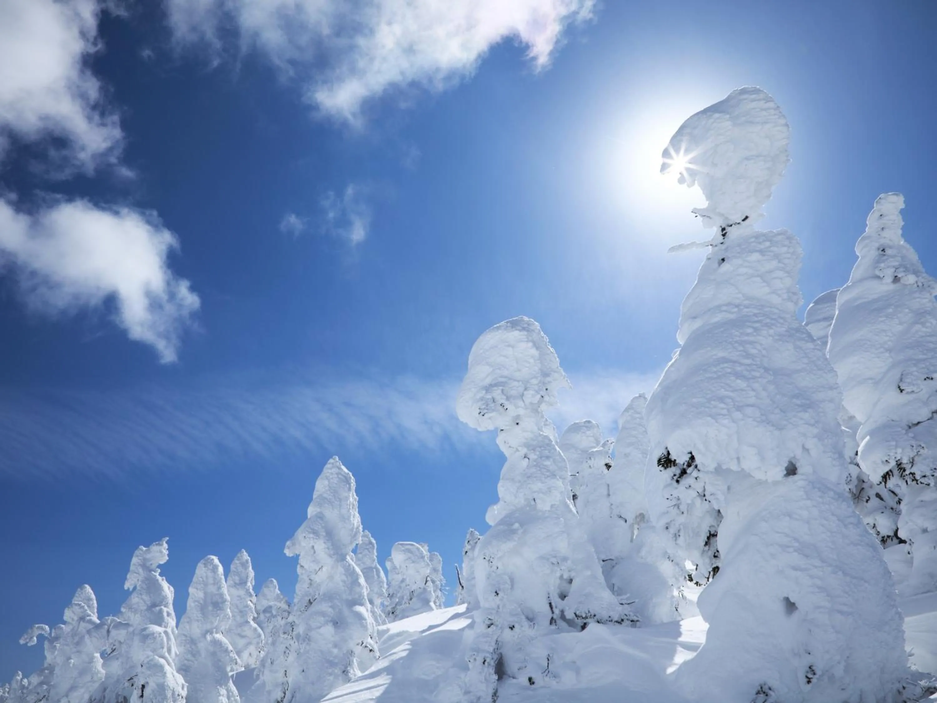 Nearby landmark in Ishinoyu Lodge