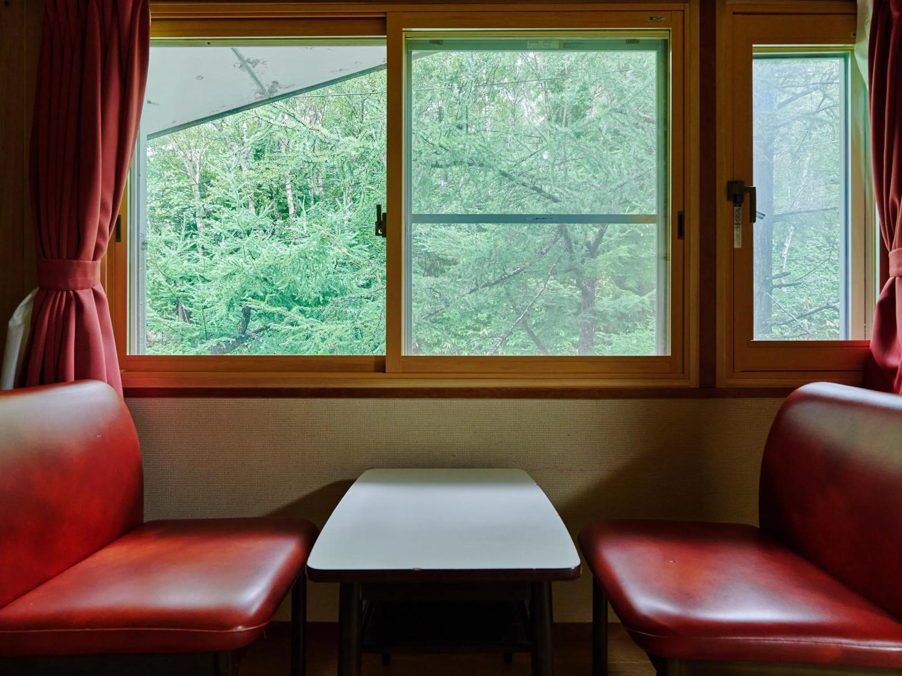 Photo of the whole room in Ishinoyu Lodge