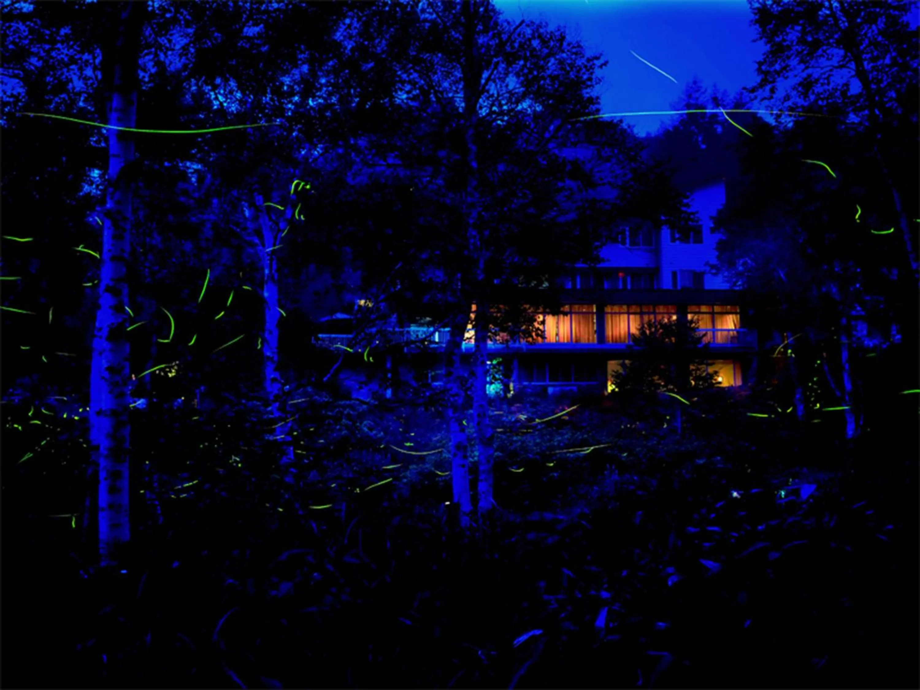 Property building in Ishinoyu Lodge