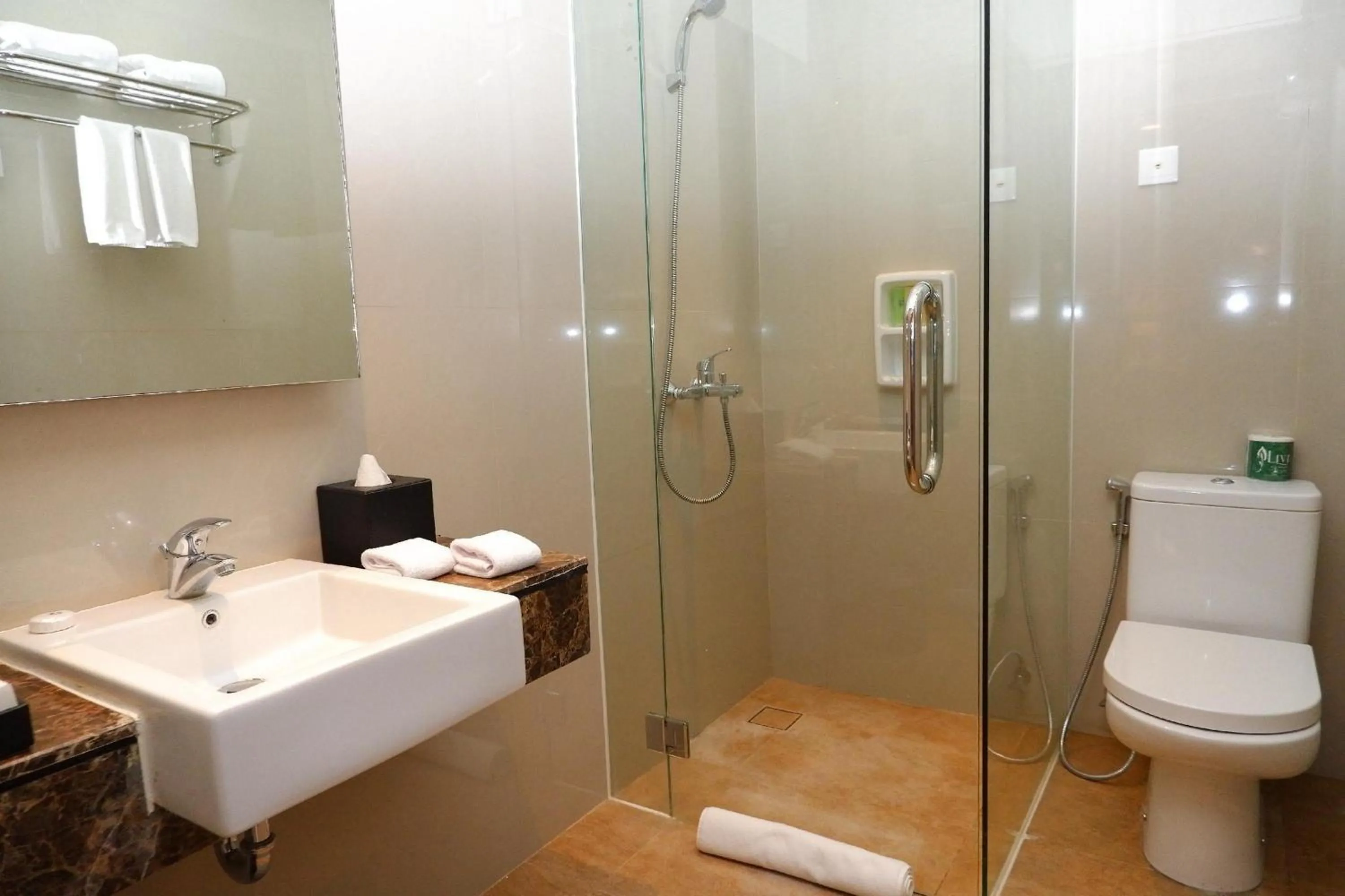 Bathroom in Swiss-Belhotel Balikpapan