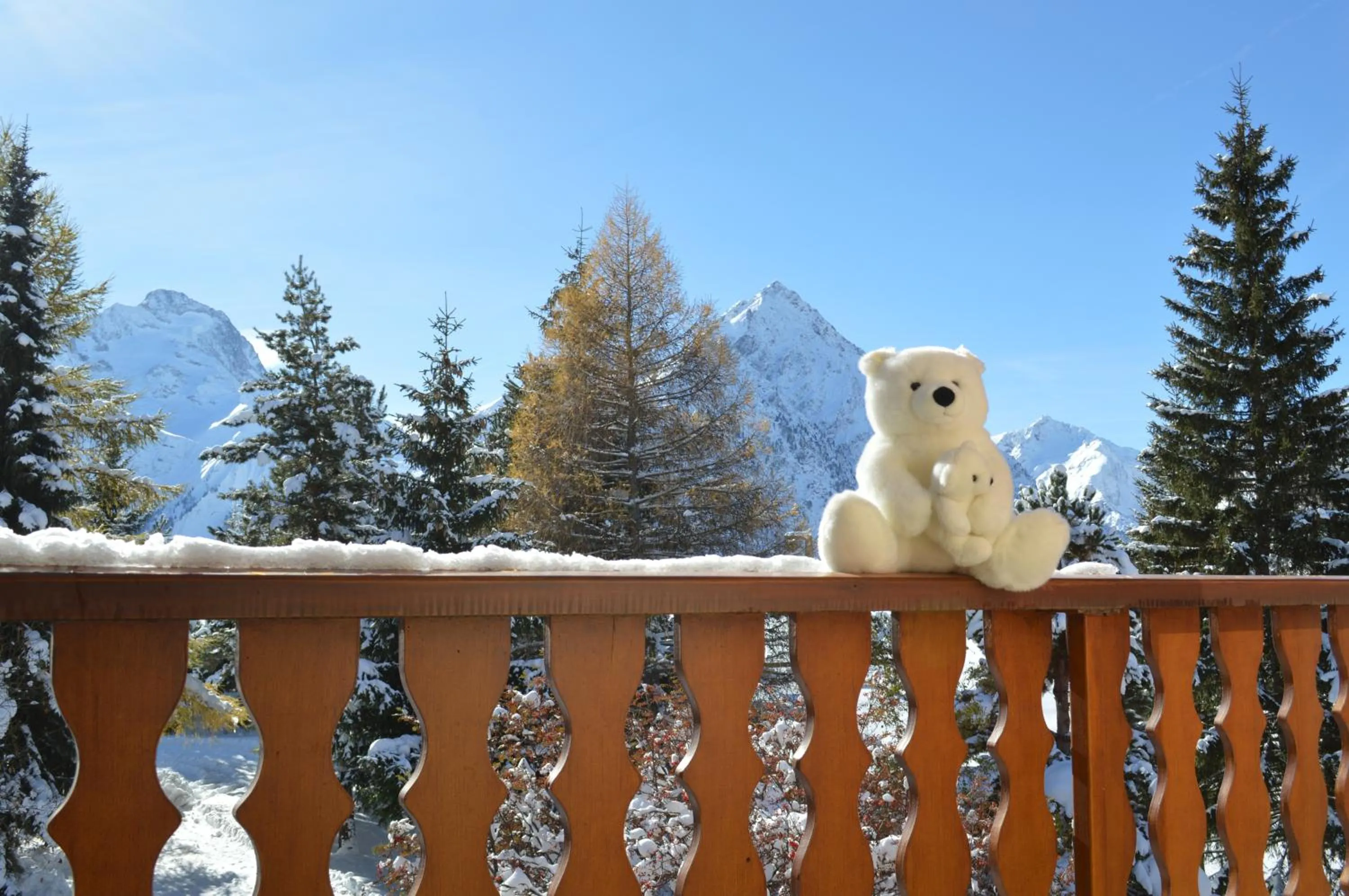 Balcony/Terrace in Hôtel Serre Palas