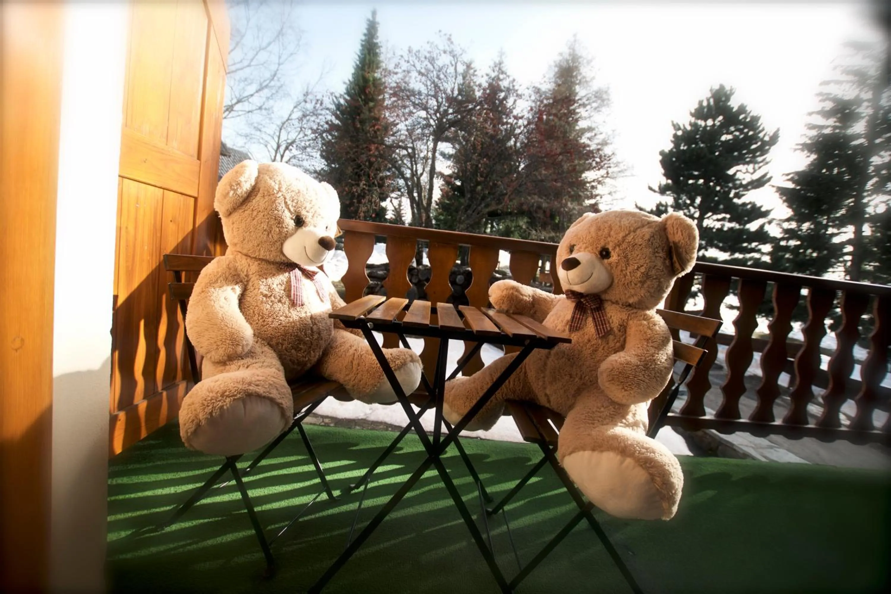 Balcony/Terrace in Hôtel Serre Palas