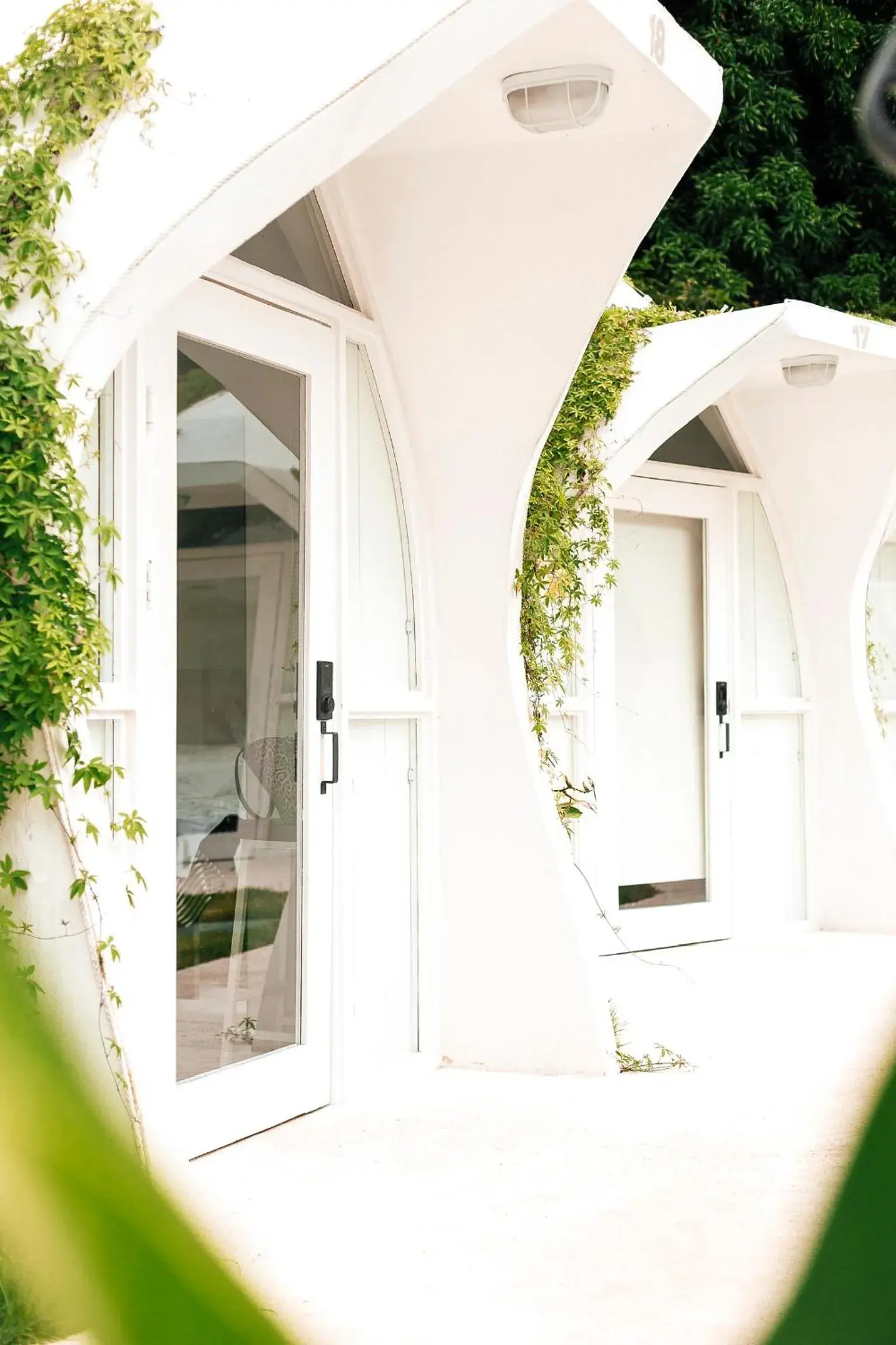 Garden view in Igloo Beach Lodge Garden view in Igloo Beach Lodge