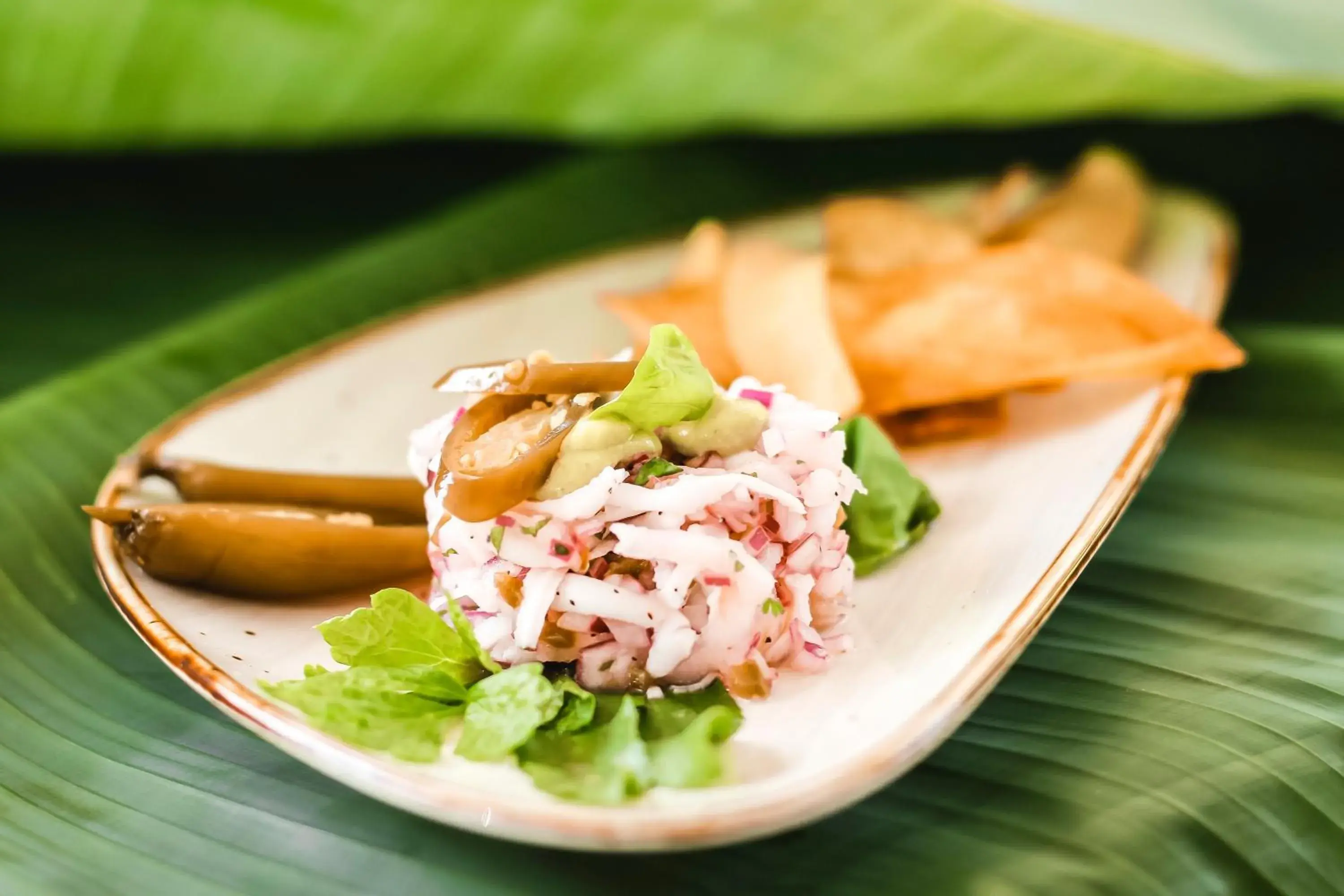 Food and drinks in Igloo Beach Lodge Food and drinks in Igloo Beach Lodge