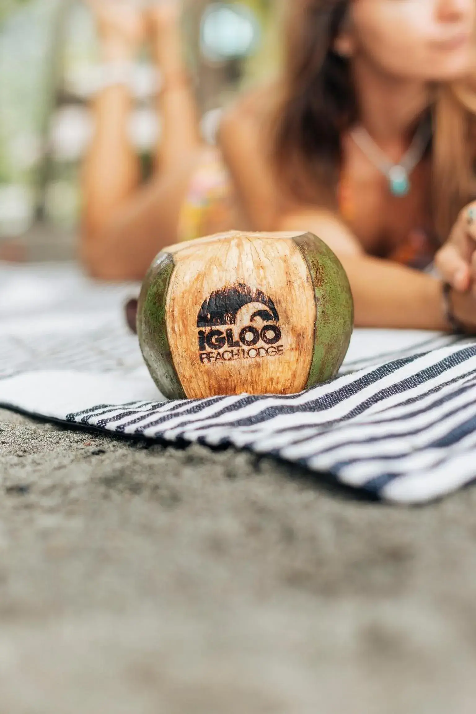 Food and drinks in Igloo Beach Lodge Food and drinks in Igloo Beach Lodge