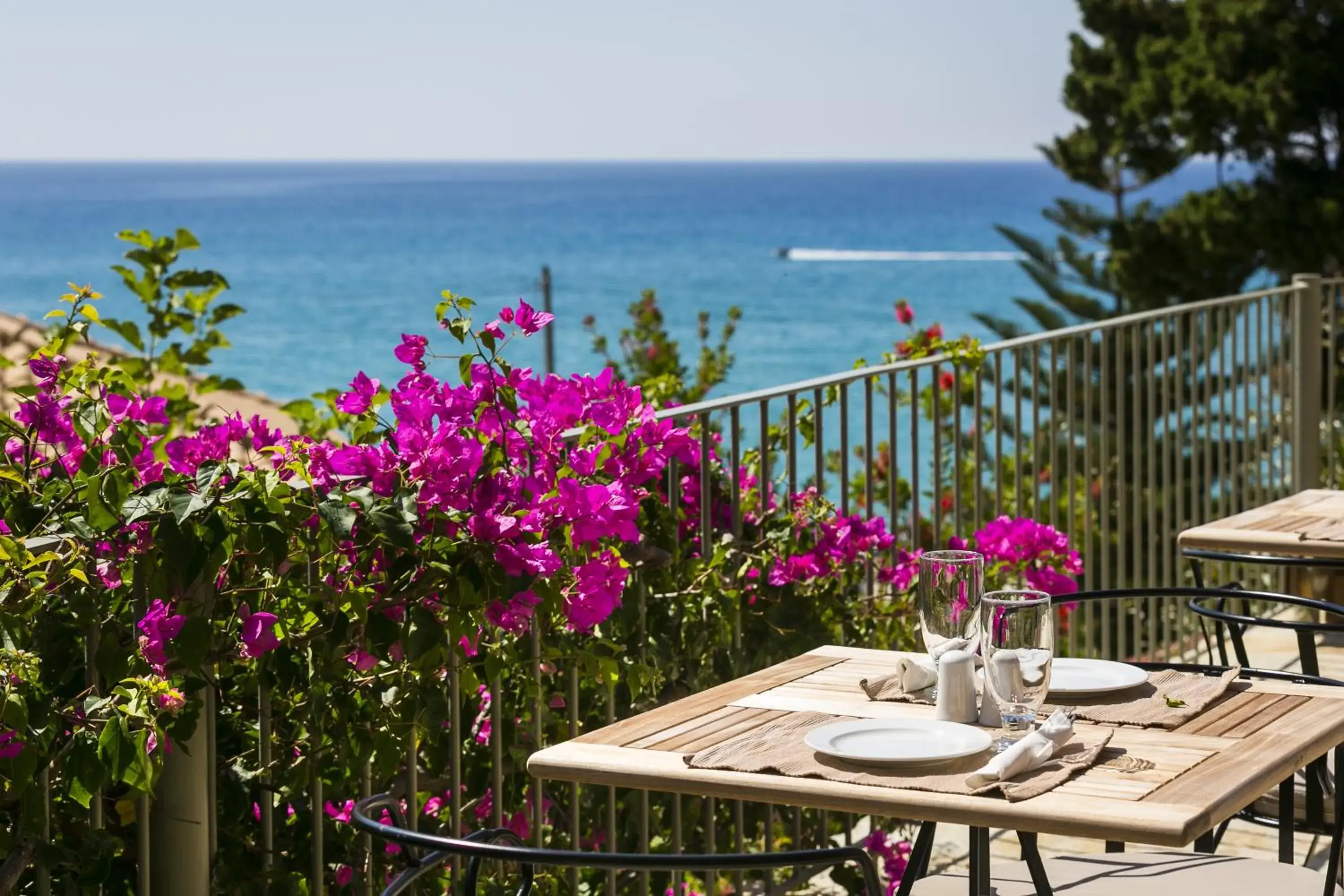 Restaurant/places to eat in F ZEEN Kefalonia Restaurant/places to eat in F ZEEN Kefalonia