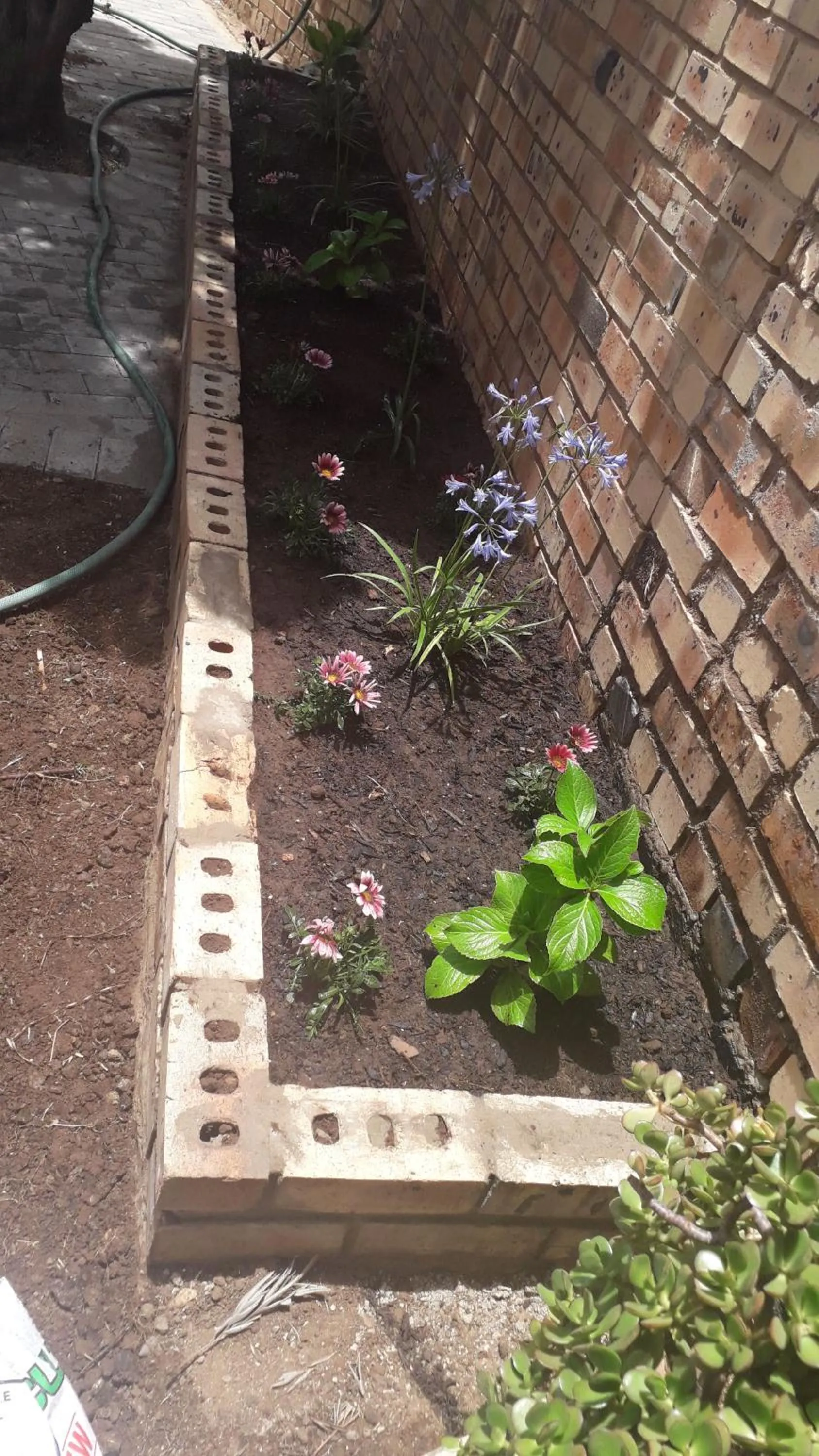 Garden in Kgatholoha guest house