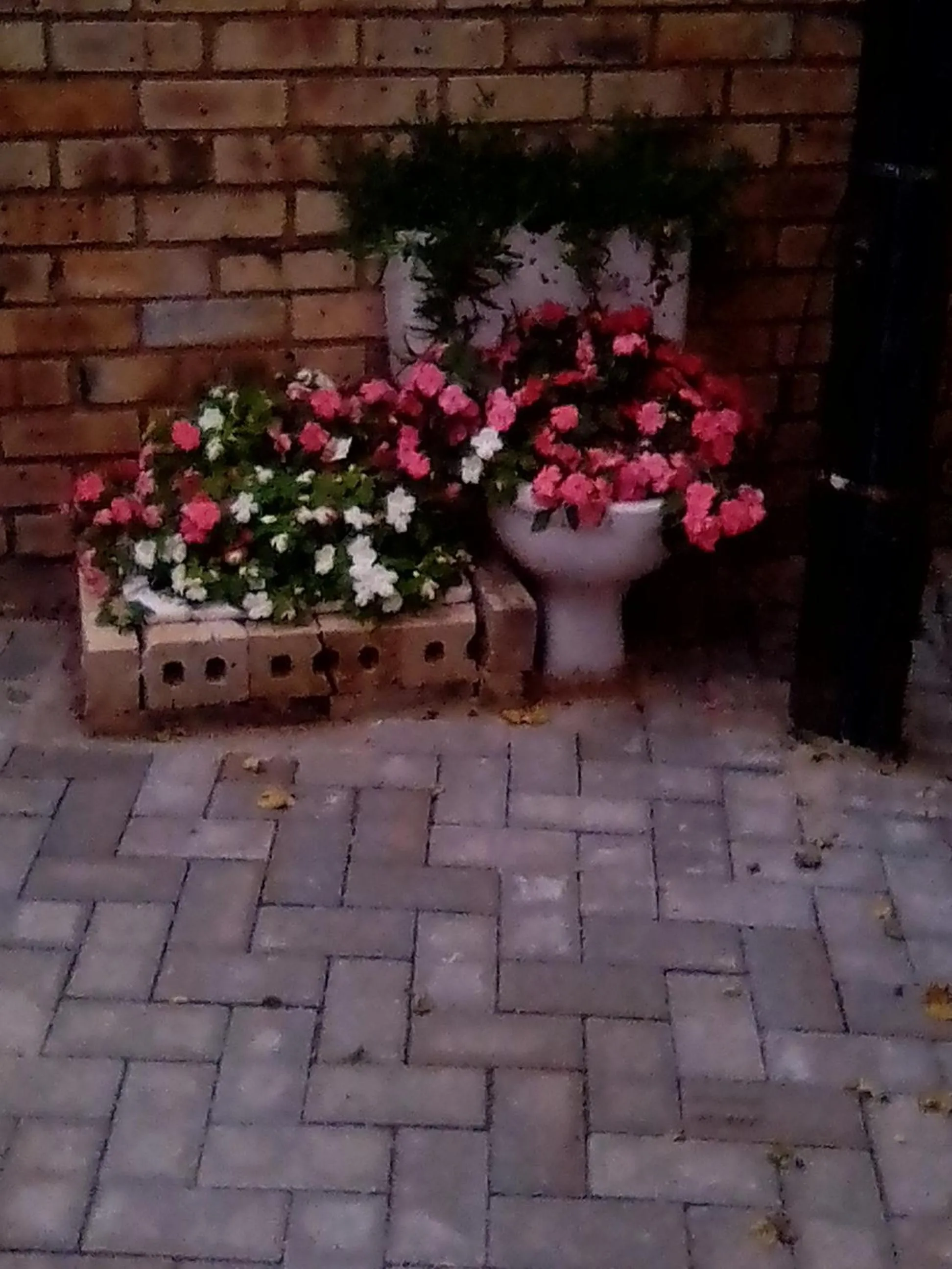 Garden view in Kgatholoha guest house