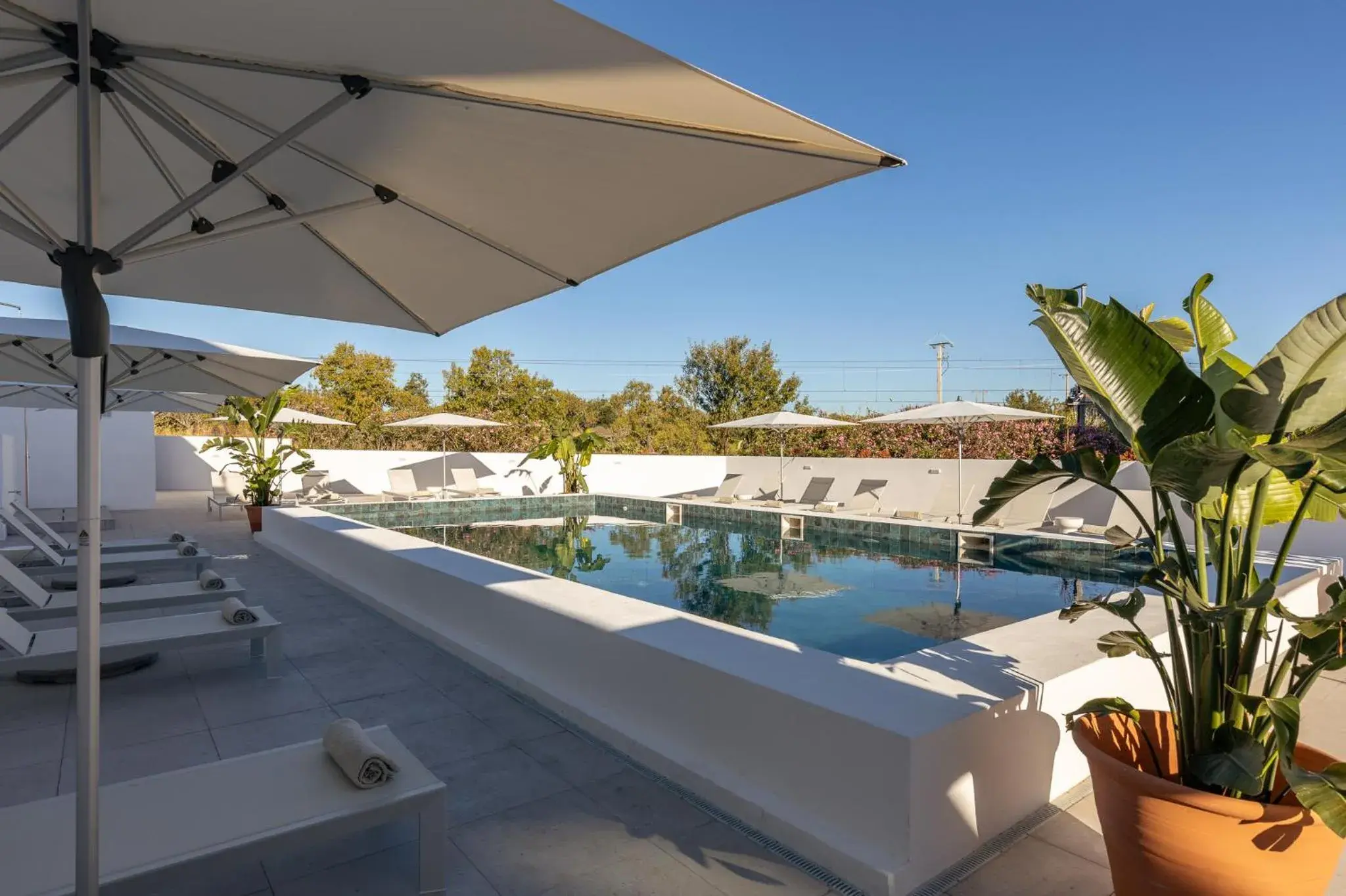 Swimming pool in Estudios Salinas - Fuseta Swimming pool in Estudios Salinas - Fuseta