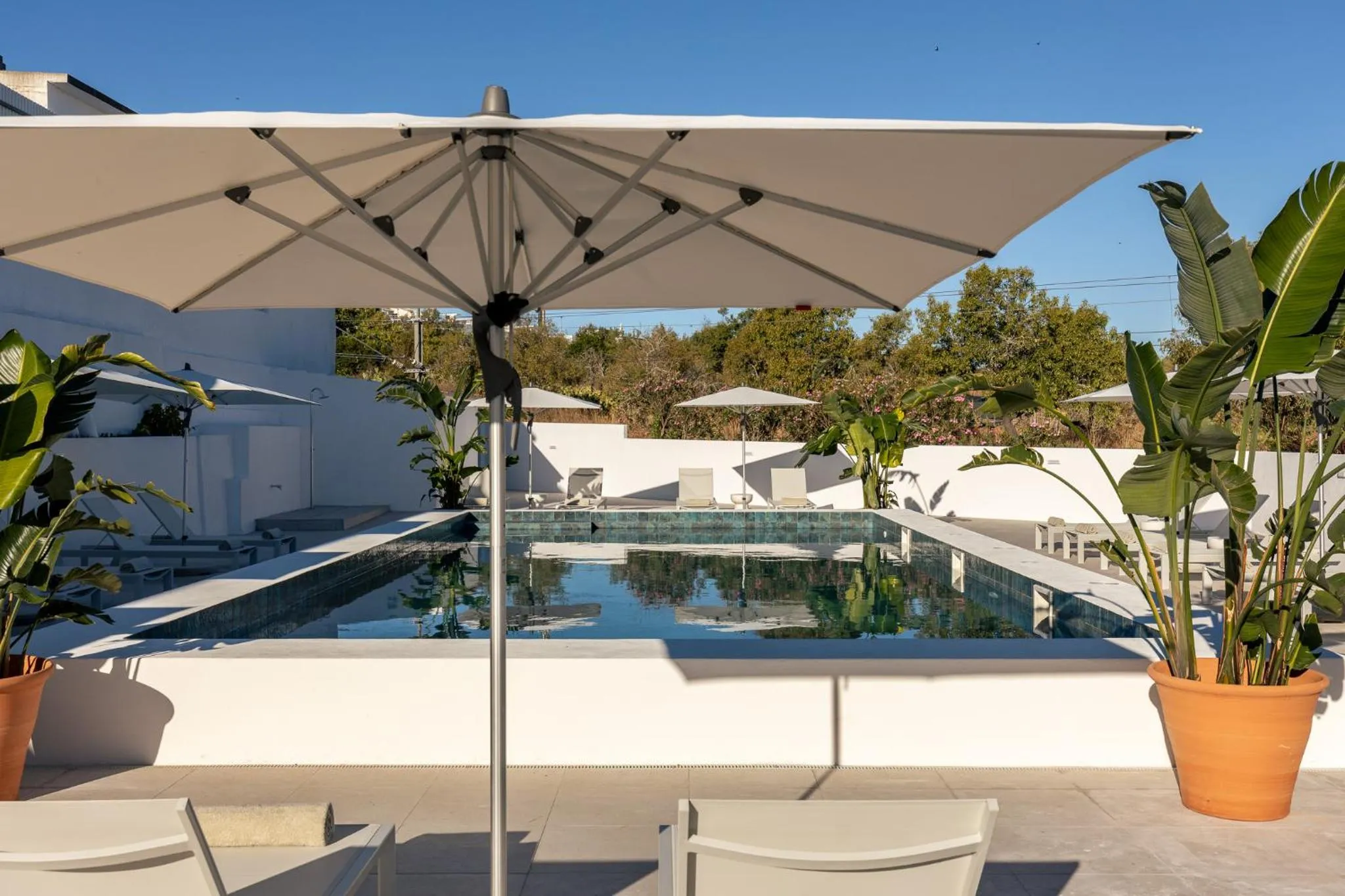 Pool view in Estudios Salinas - Fuseta