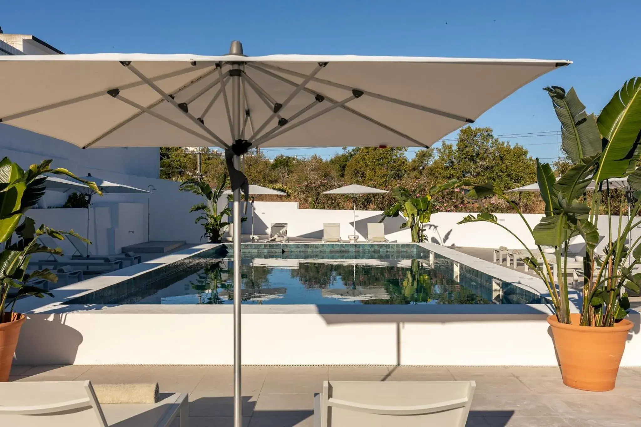 Pool view in Estudios Salinas - Fuseta Pool view in Estudios Salinas - Fuseta