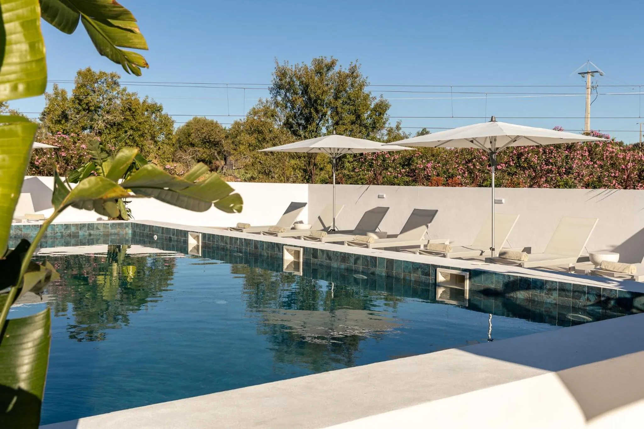 Swimming pool in Estudios Salinas - Fuseta