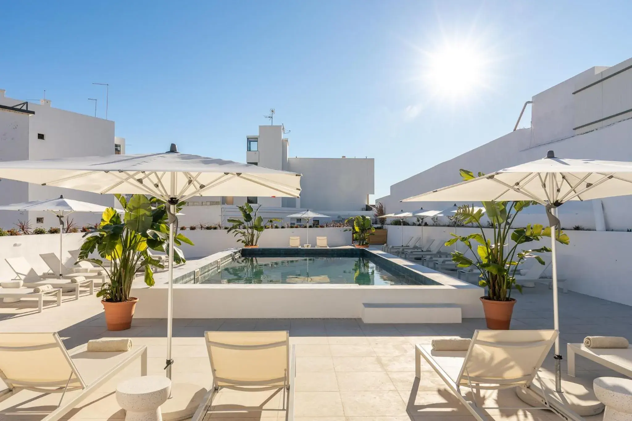 Swimming pool in Estudios Salinas - Fuseta Swimming pool in Estudios Salinas - Fuseta