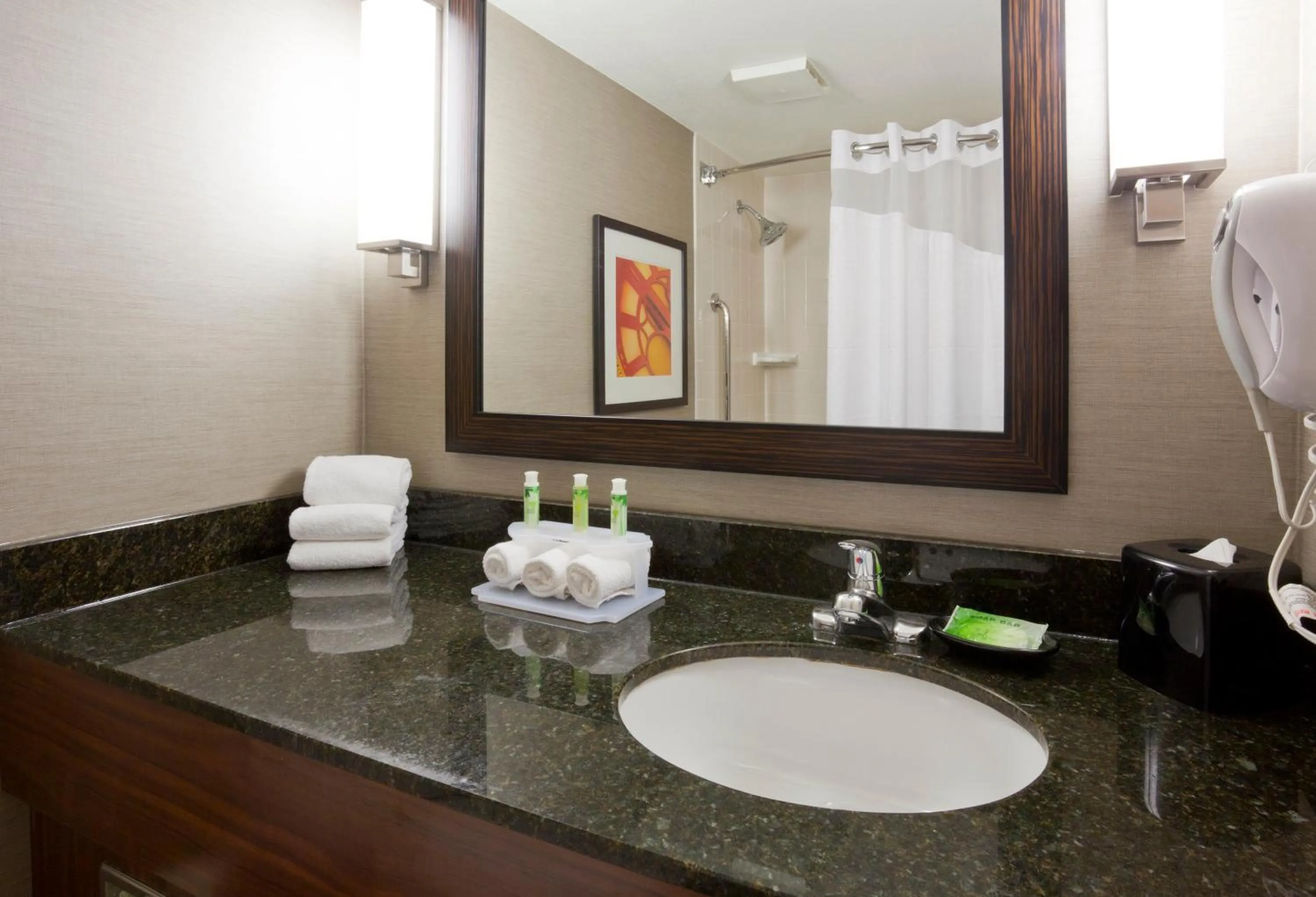 Bathroom in Holiday Inn Express & Suites Bloomington West by IHG