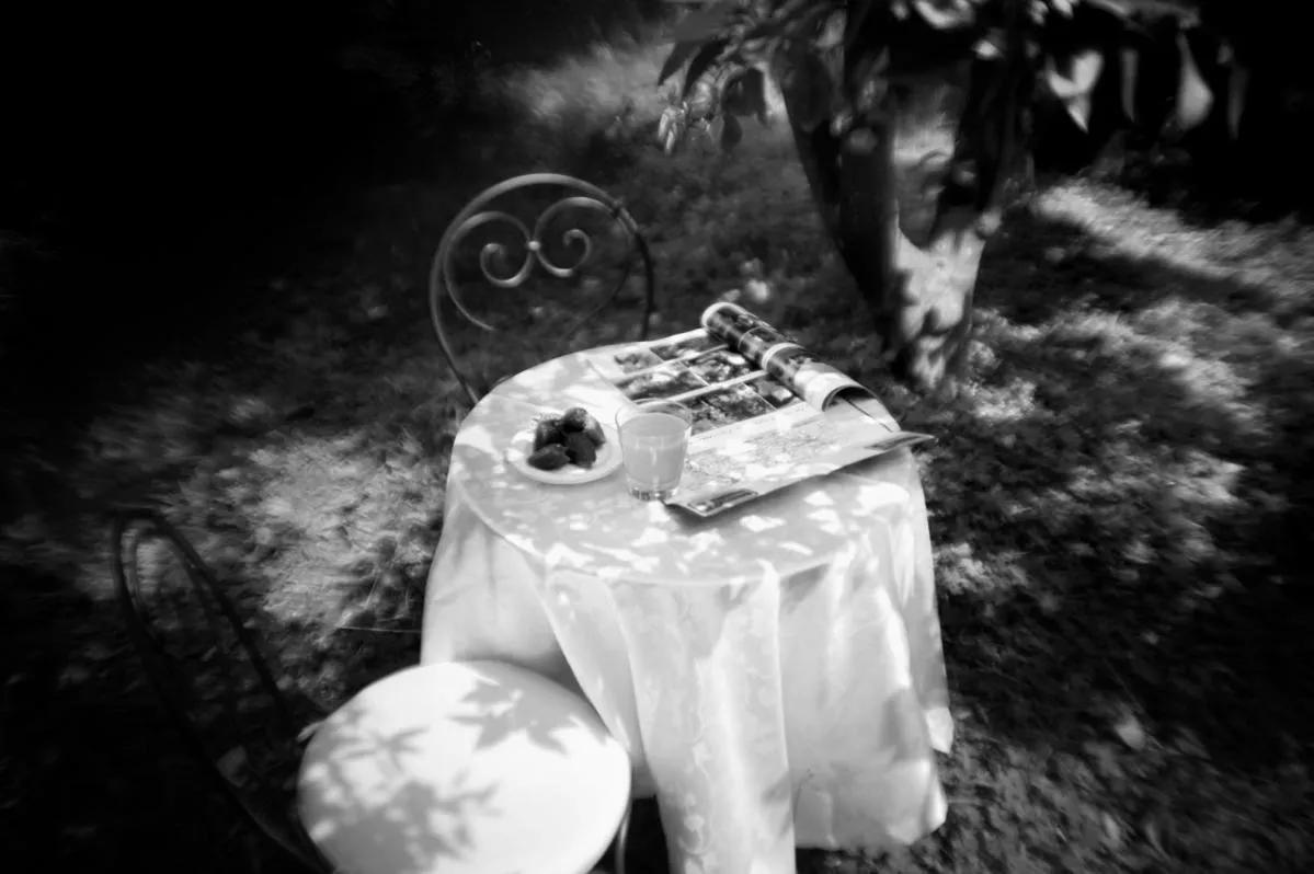 Garden in Il Giardino Degli Aranci