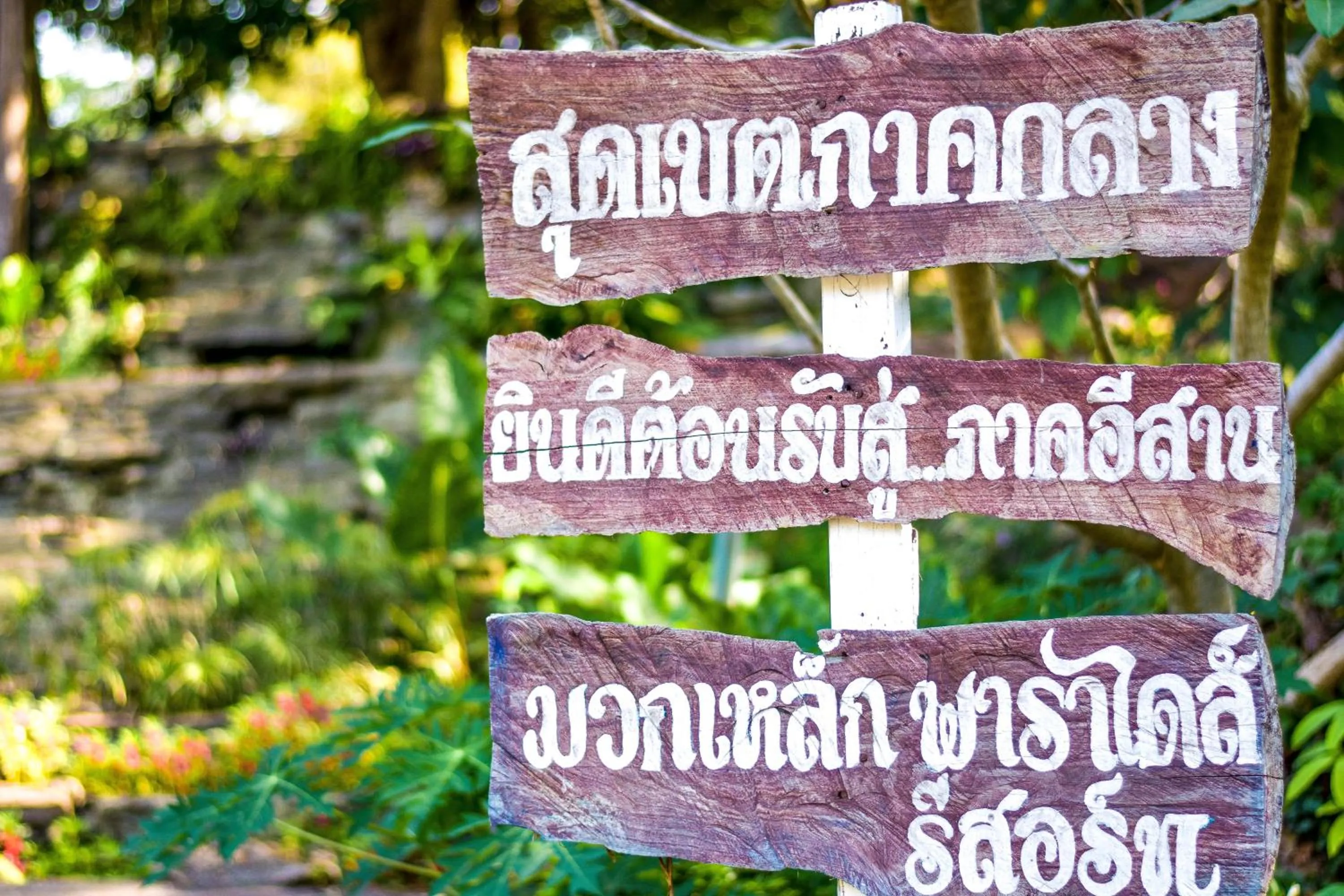 Muaklek Paradise Resort